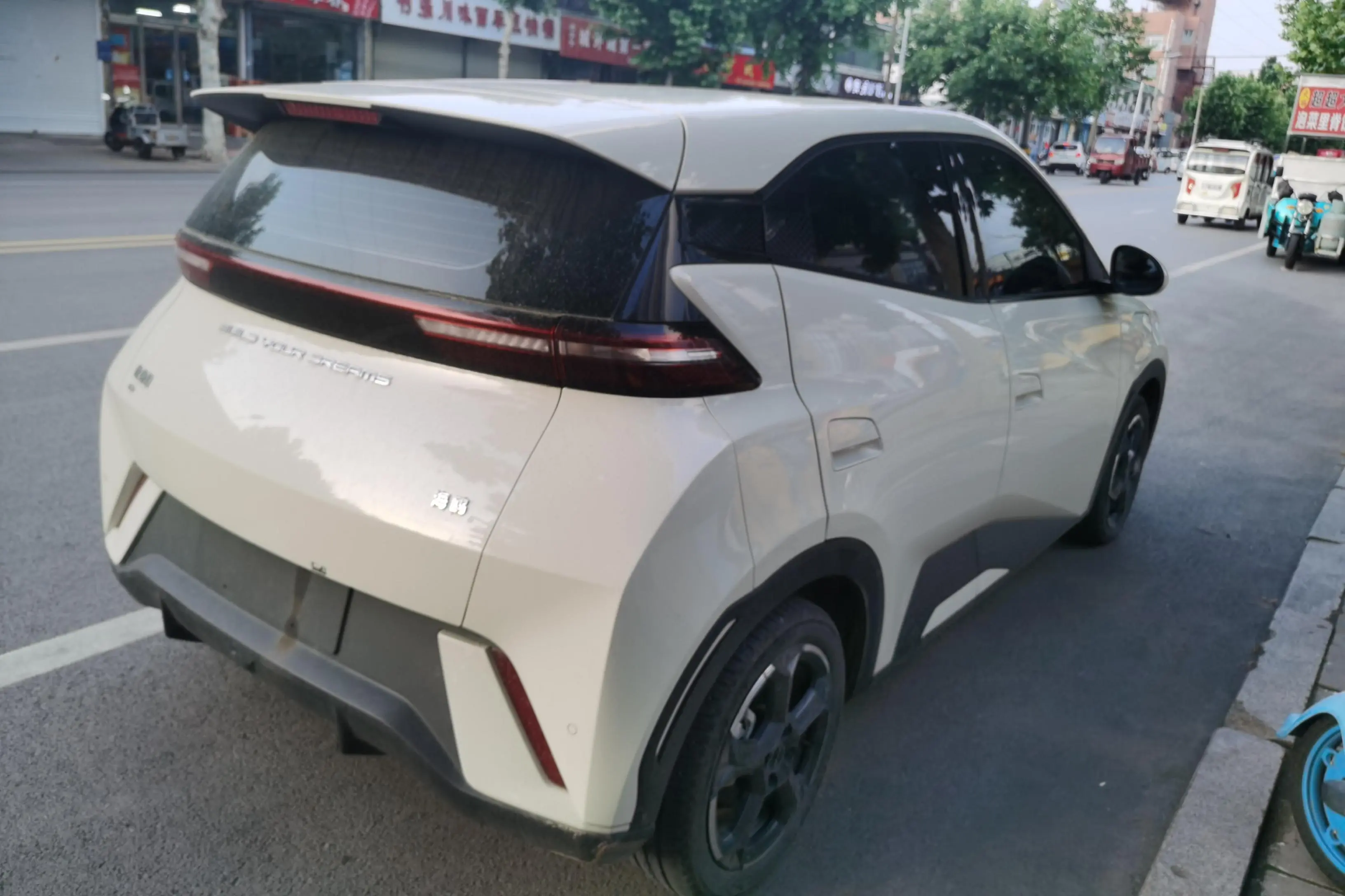 BYD Seagull