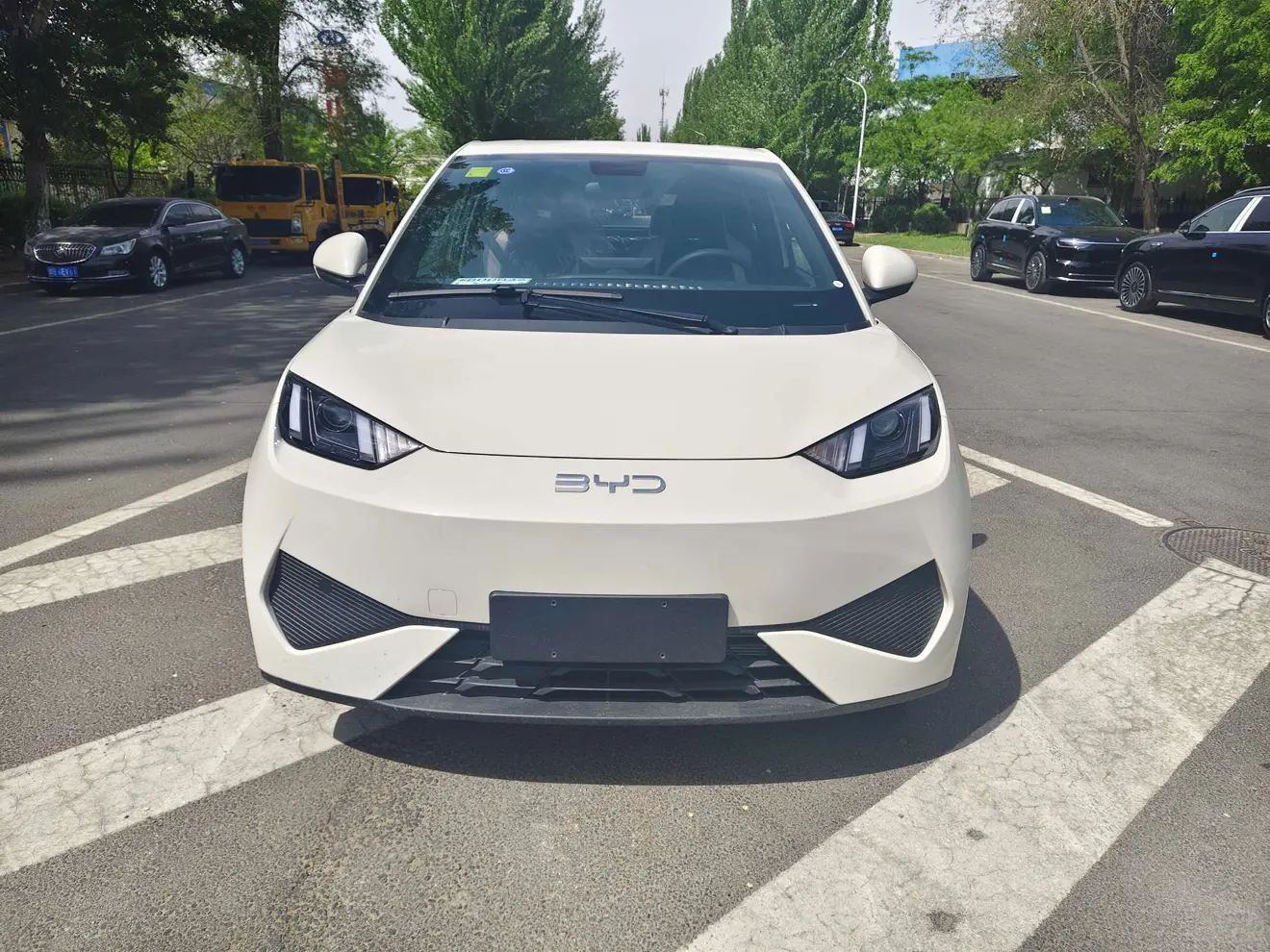 BYD Seagull
