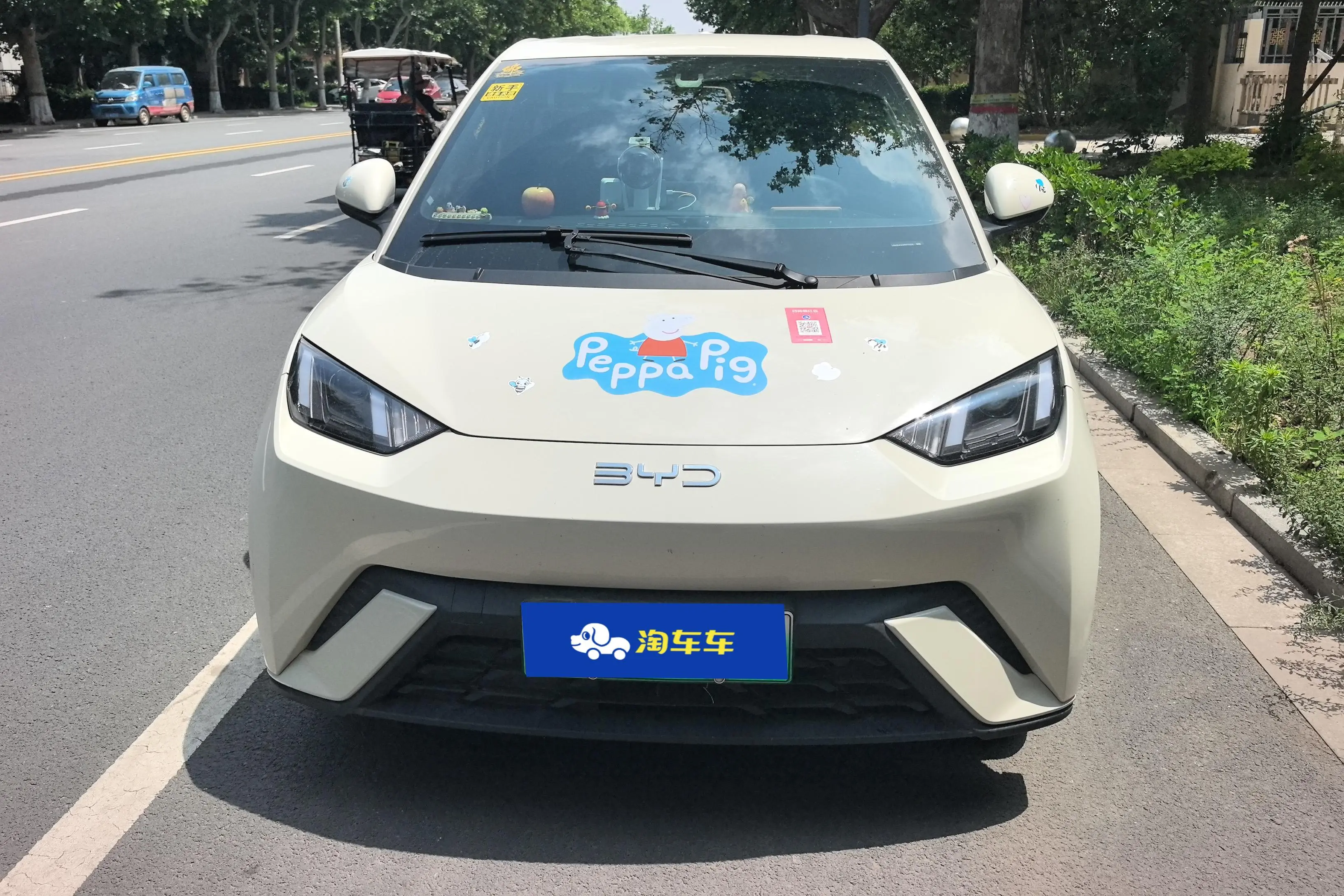 BYD seagull