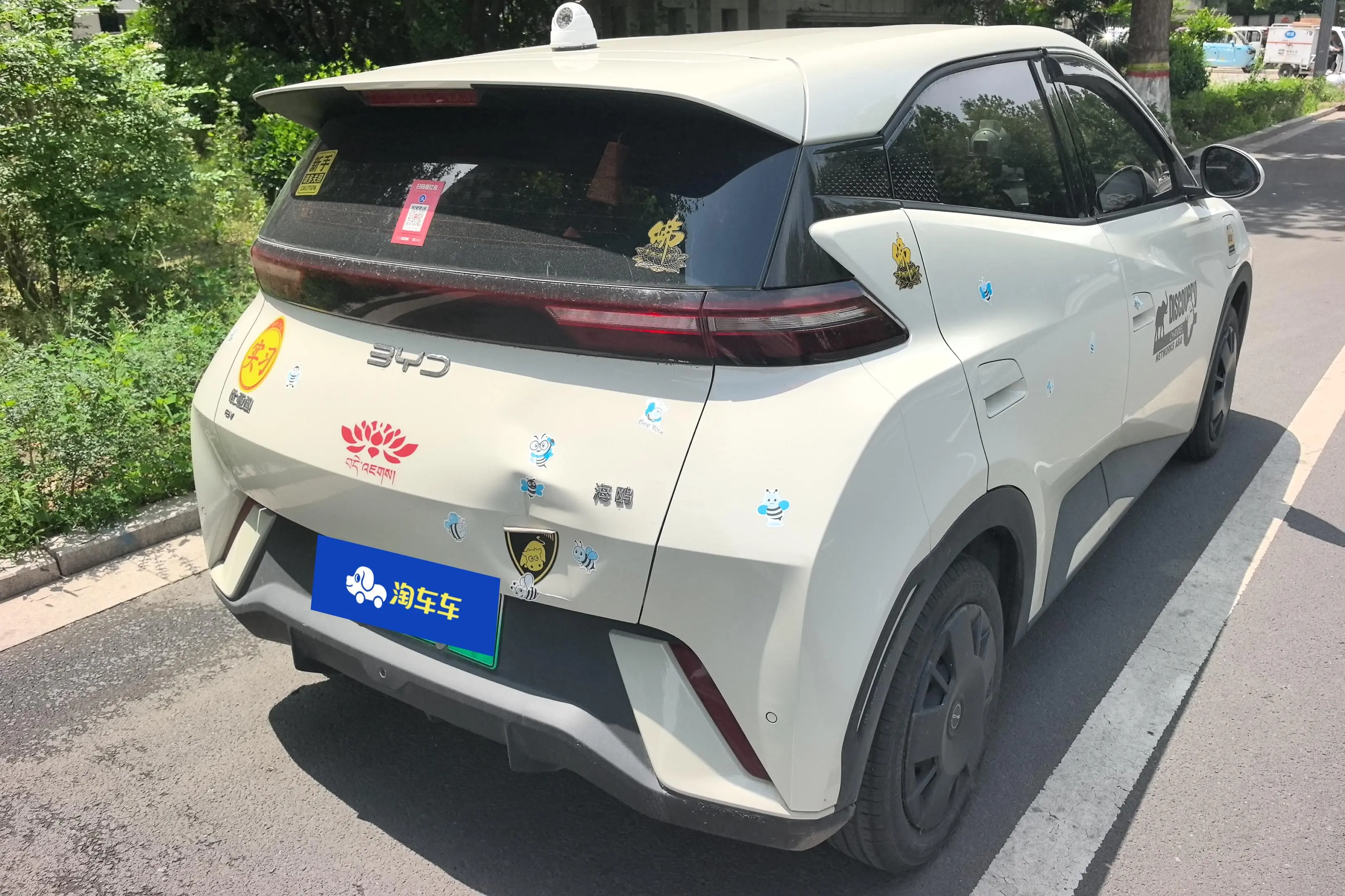 BYD seagull