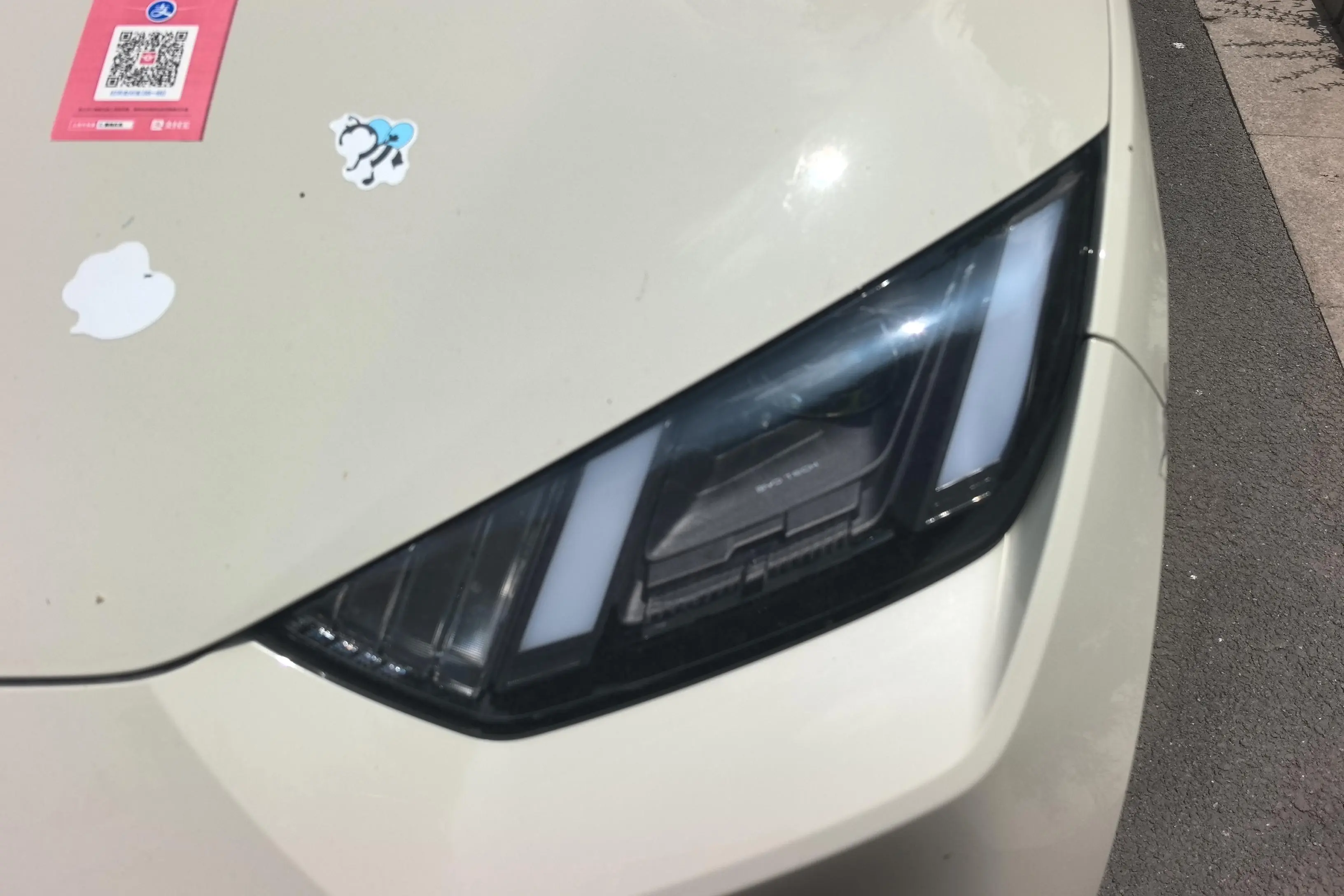 BYD seagull