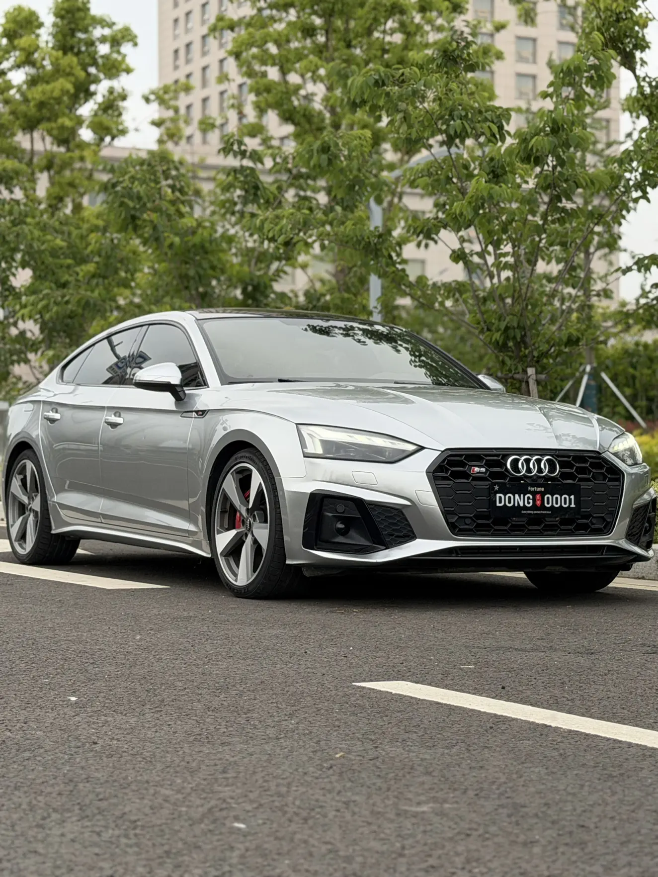 Audi S5