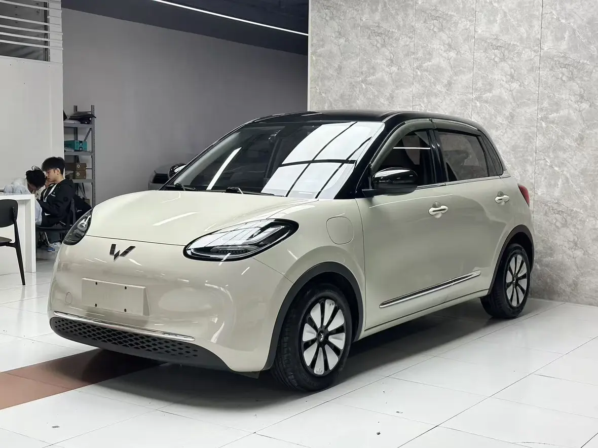 Wuling Bingo