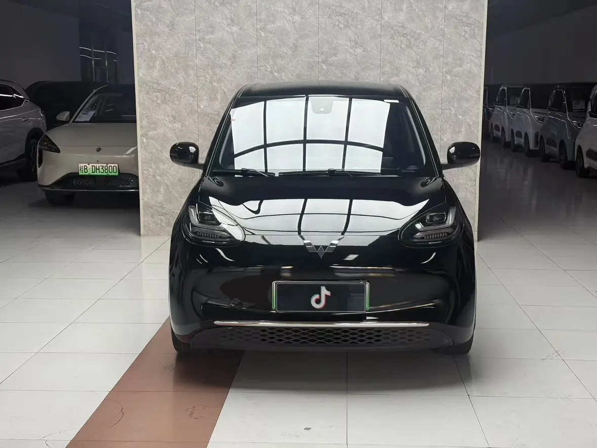 Wuling Bingo