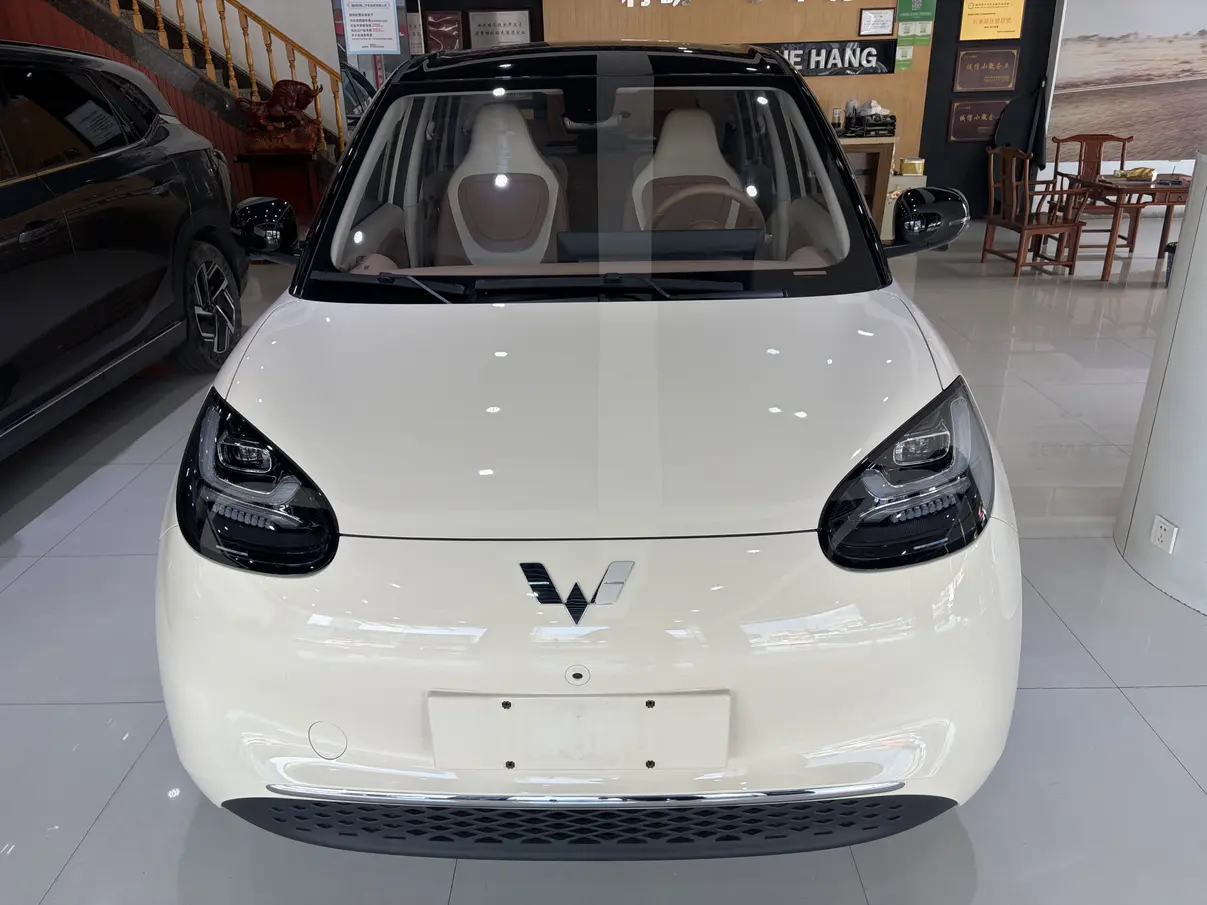 Wuling Bingo
