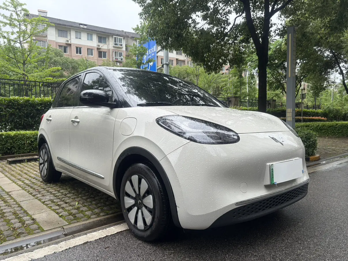 Wuling Bingo