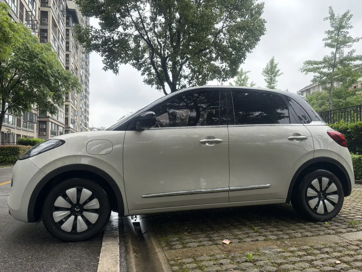 Wuling Bingo