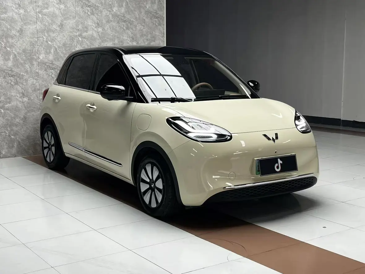 Wuling Bingo