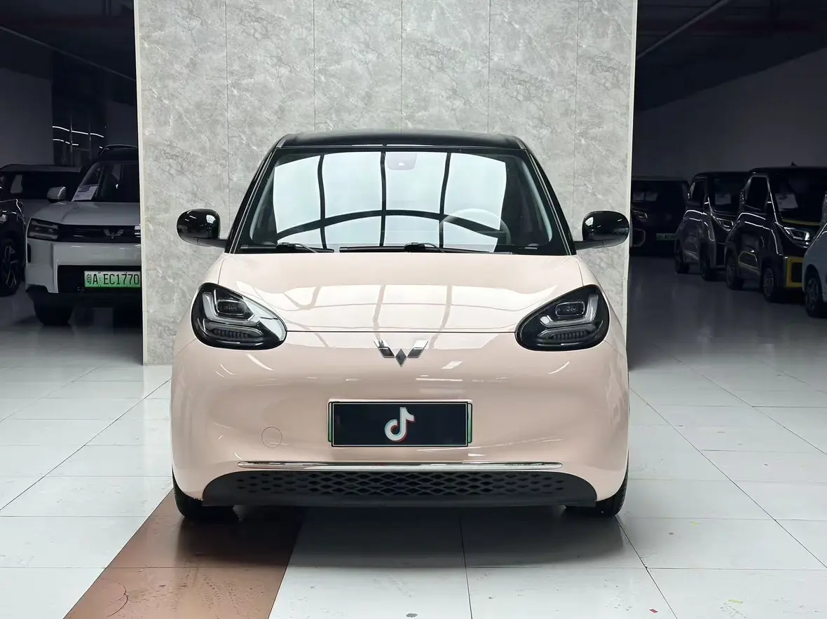 Wuling Bingo