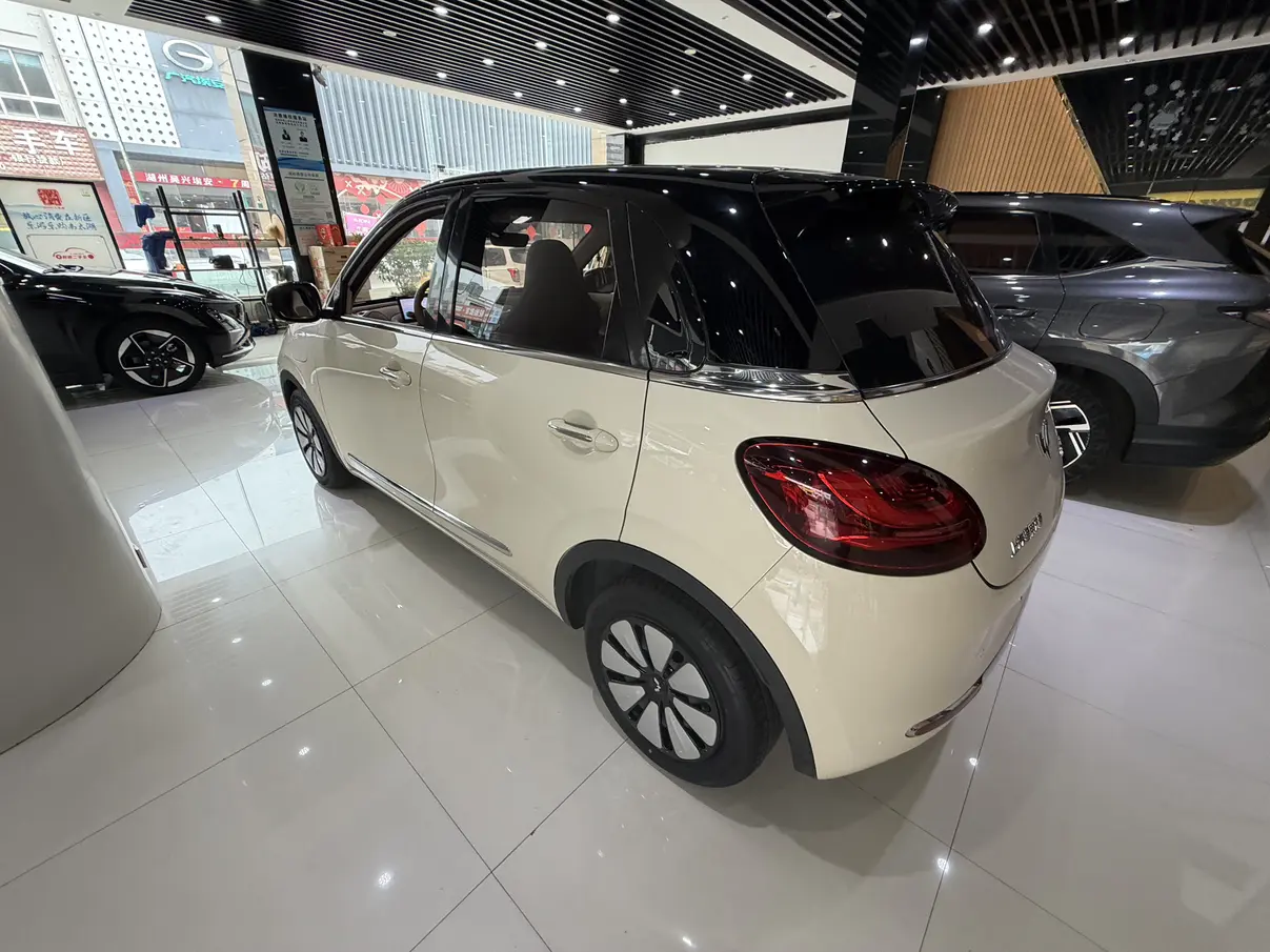 Wuling Bingo