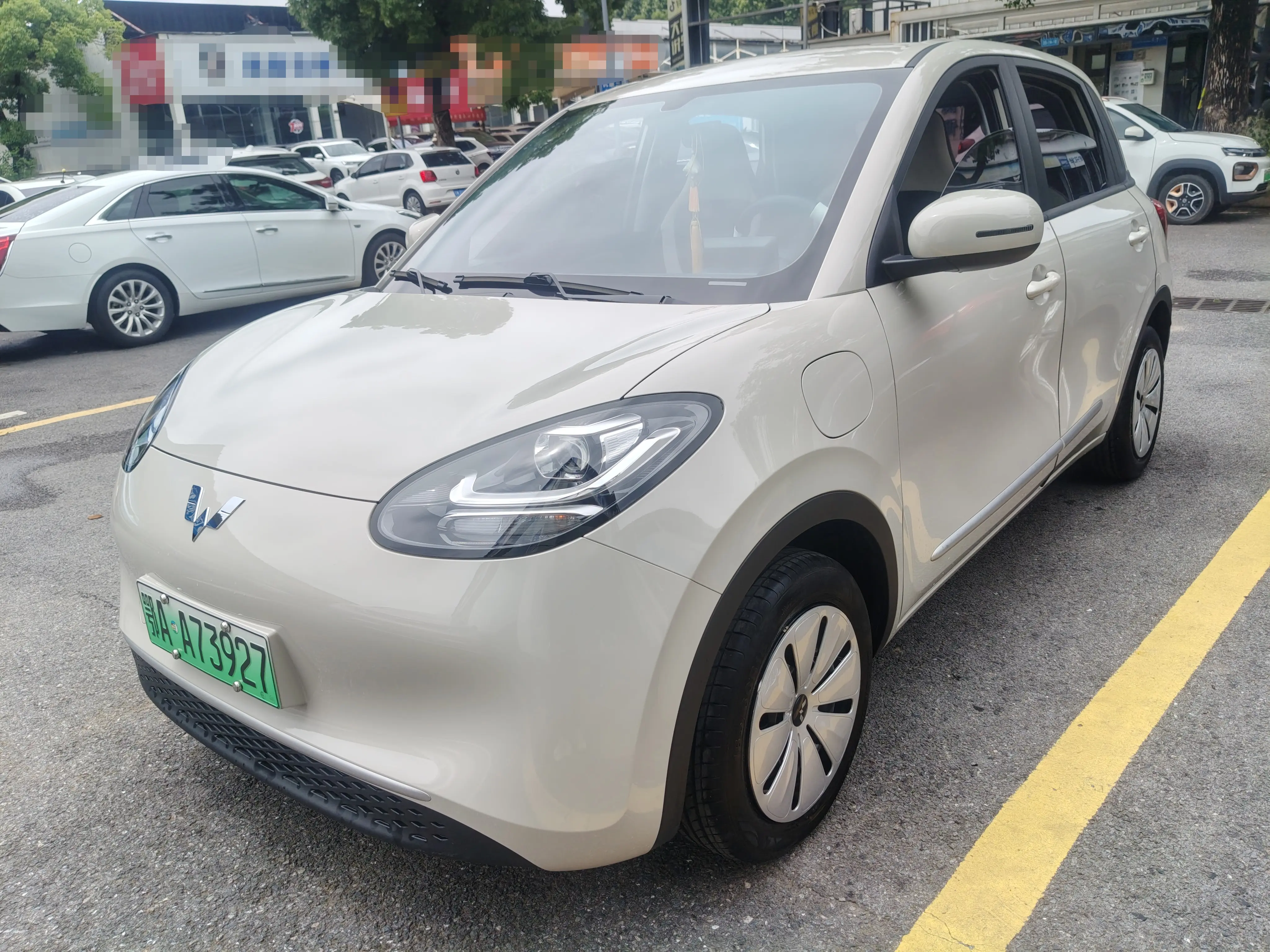 Wuling Bingo