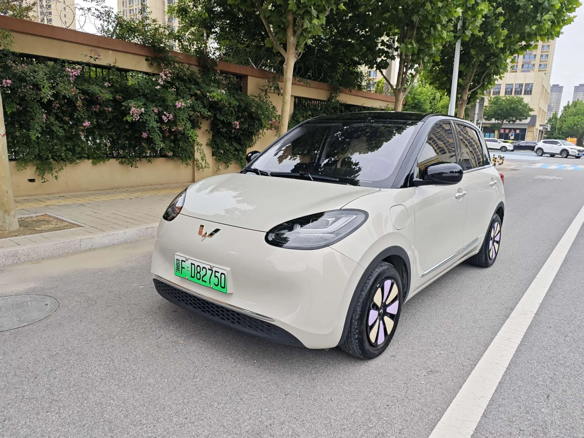 Wuling Bingo