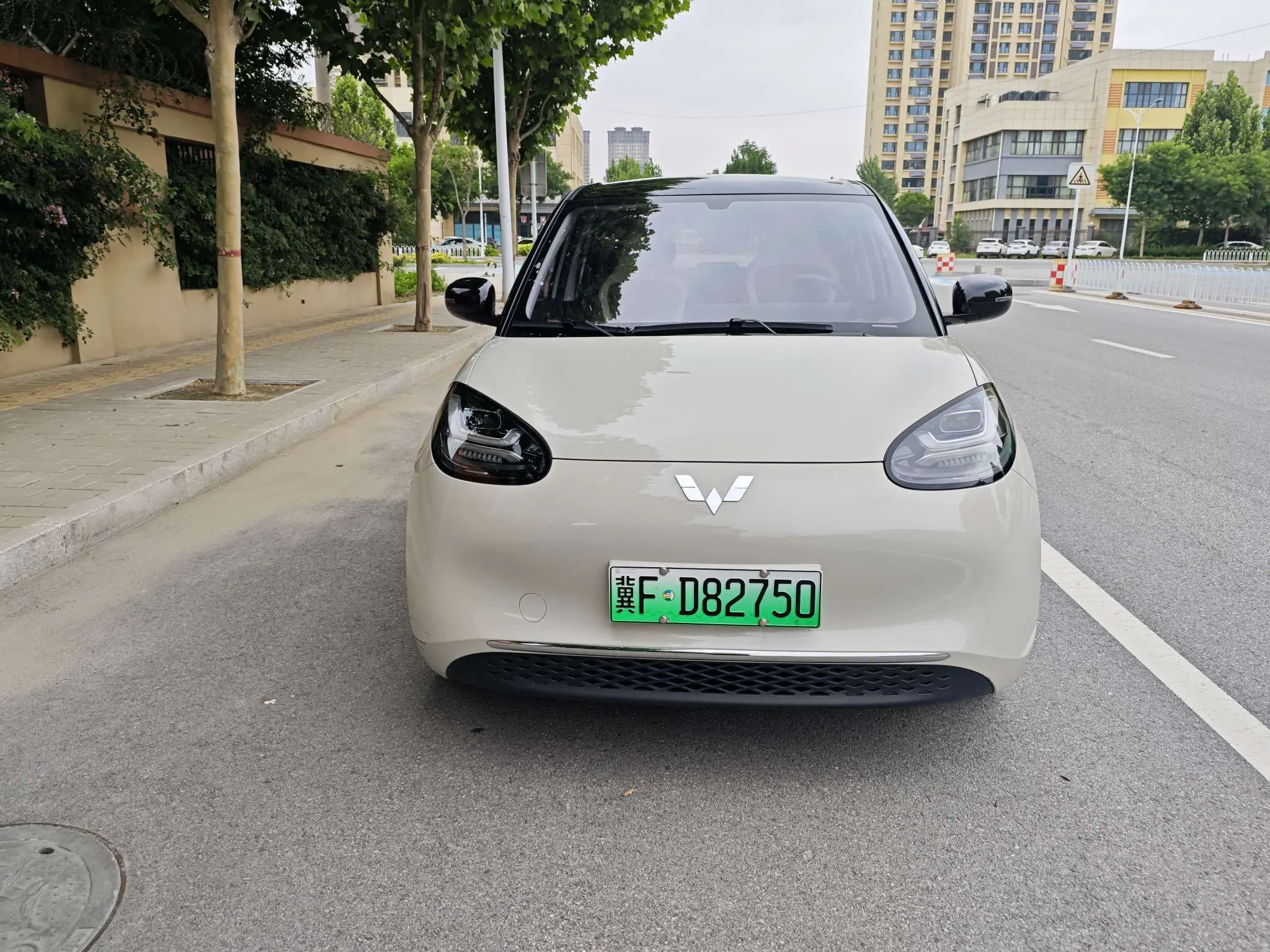 Wuling Bingo
