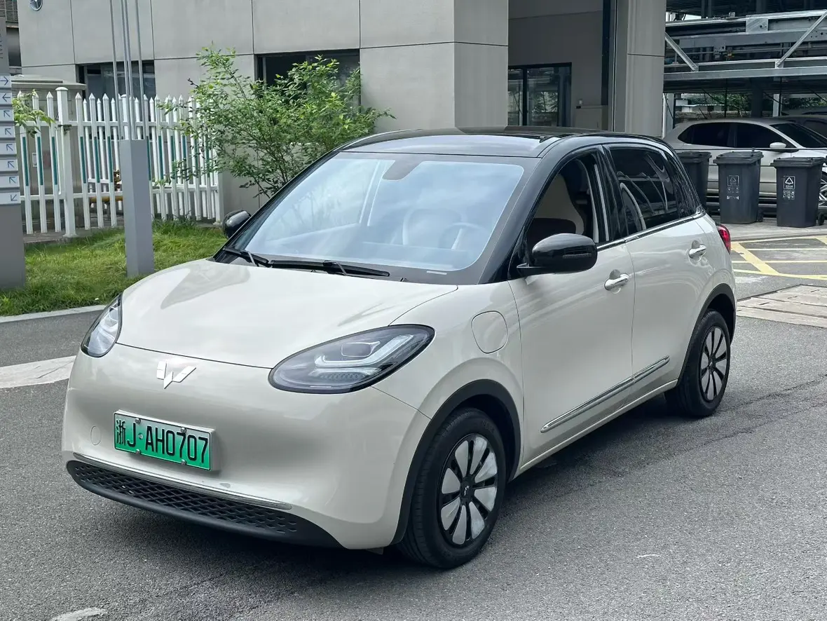 Wuling Bingo