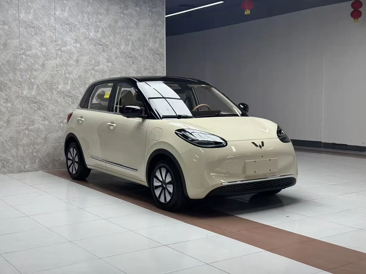 Wuling Bingo