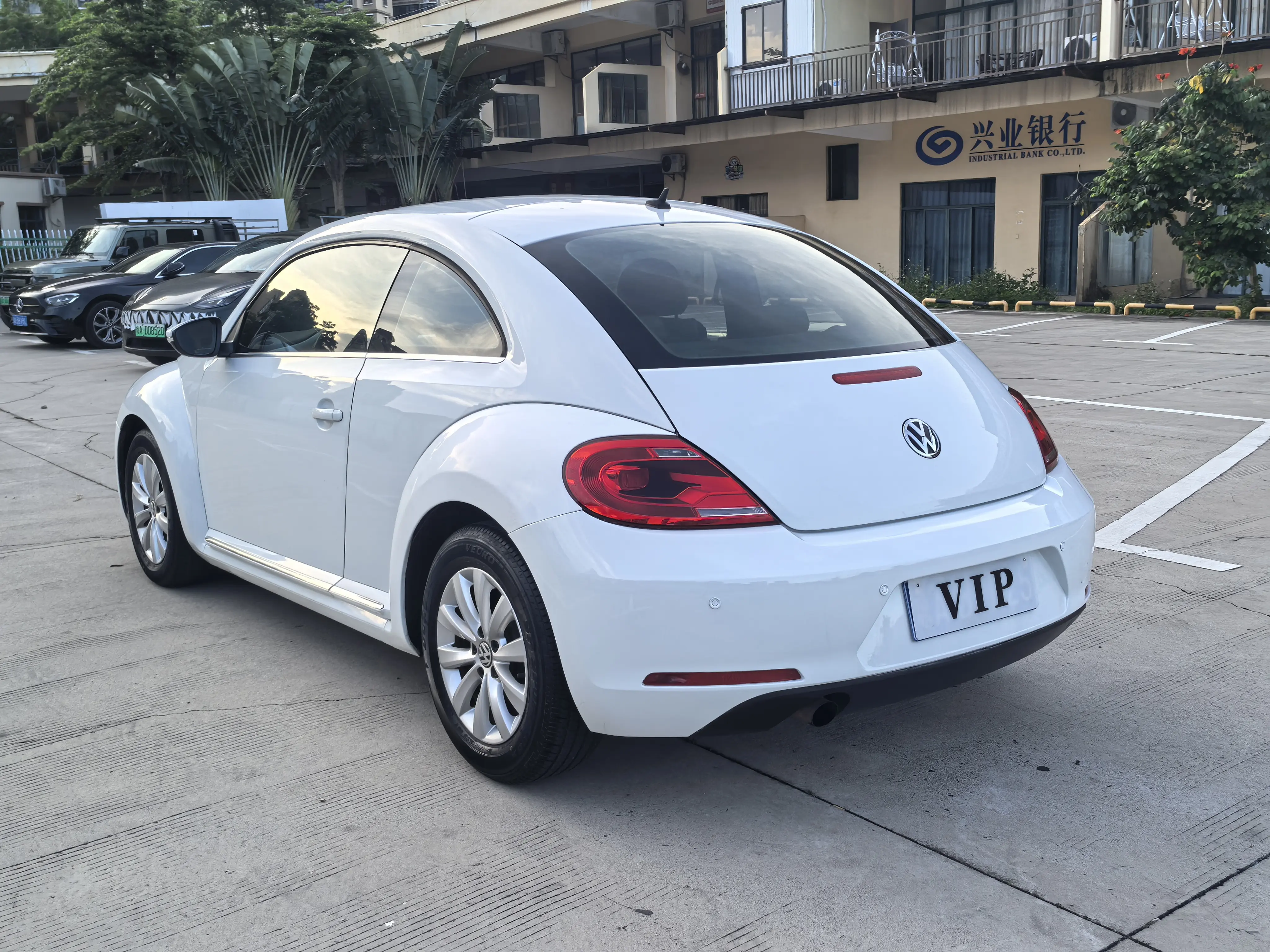 Volkswagen Beetle
