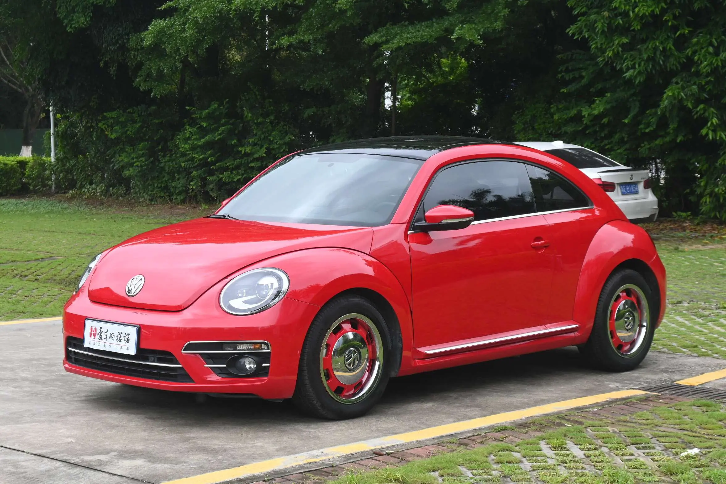 Volkswagen Beetle
