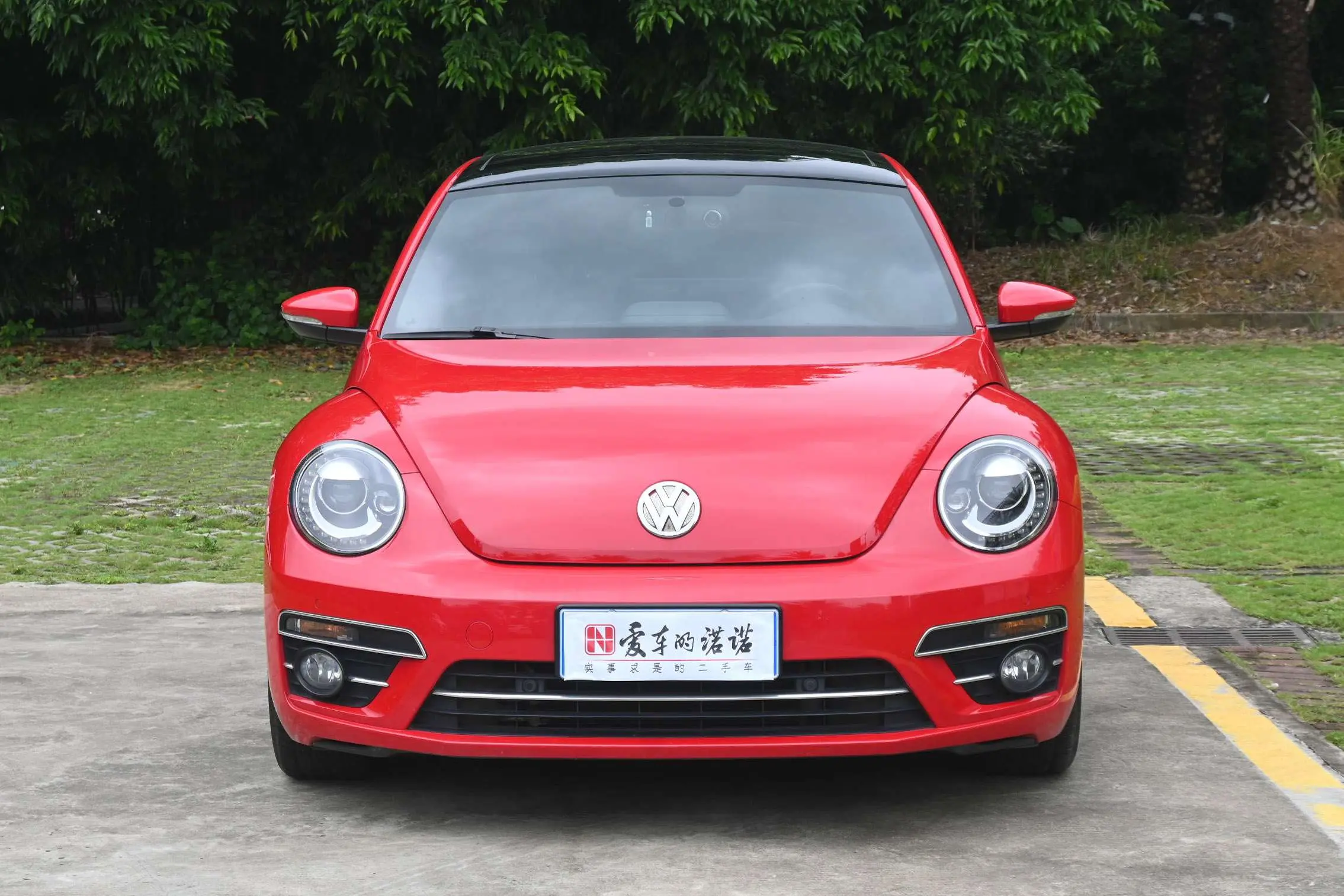Volkswagen Beetle