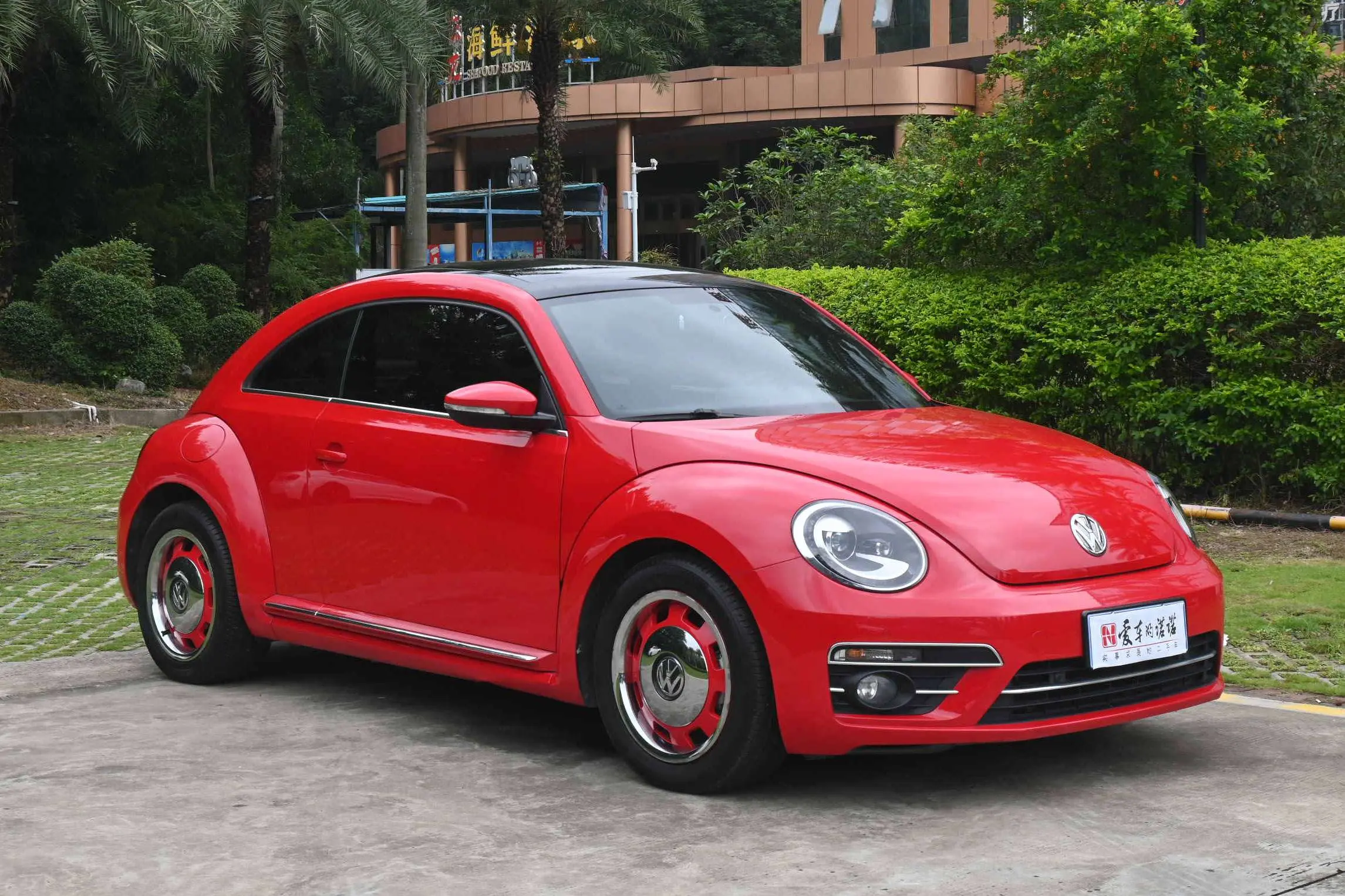 Volkswagen Beetle