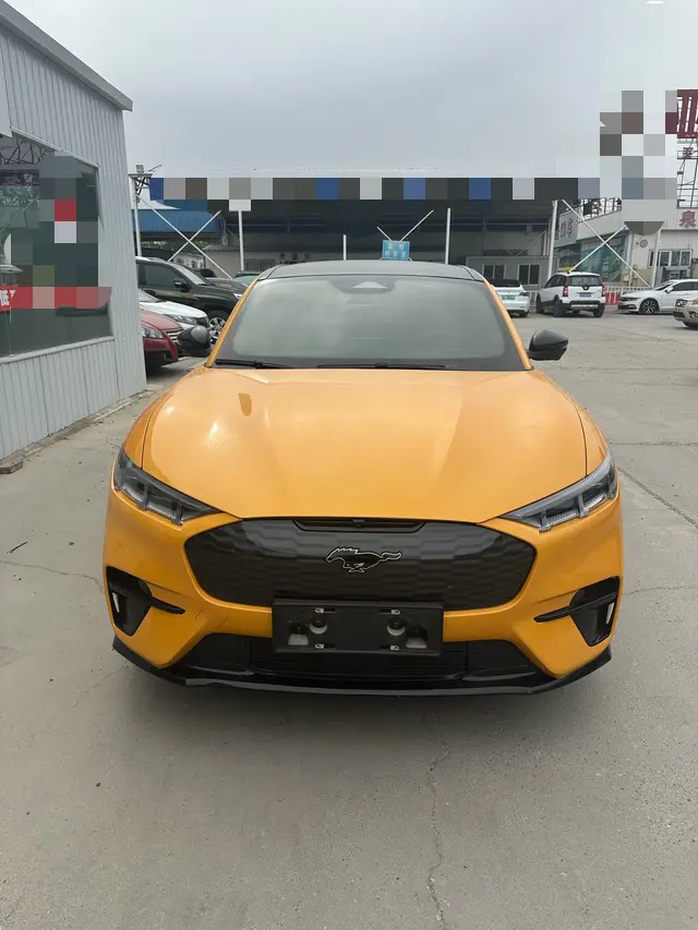 Ford electric horse