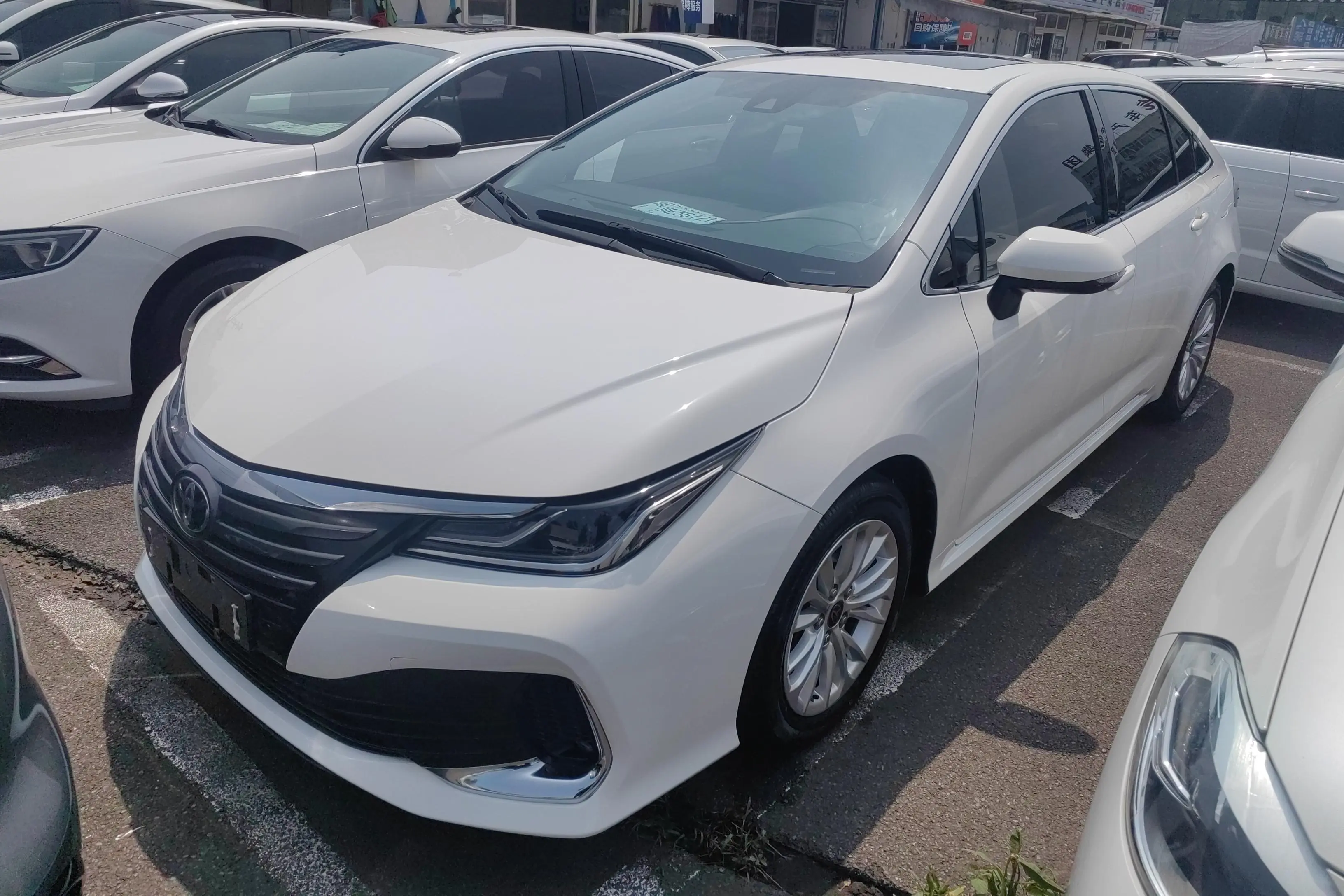Toyota Asiatic lion
