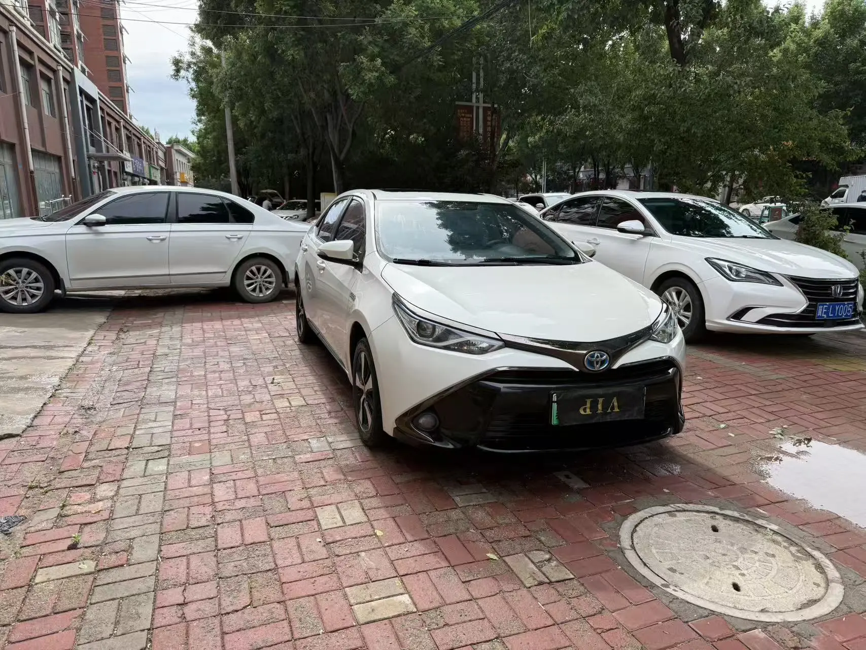 Toyota Ralink Shuangqing E+