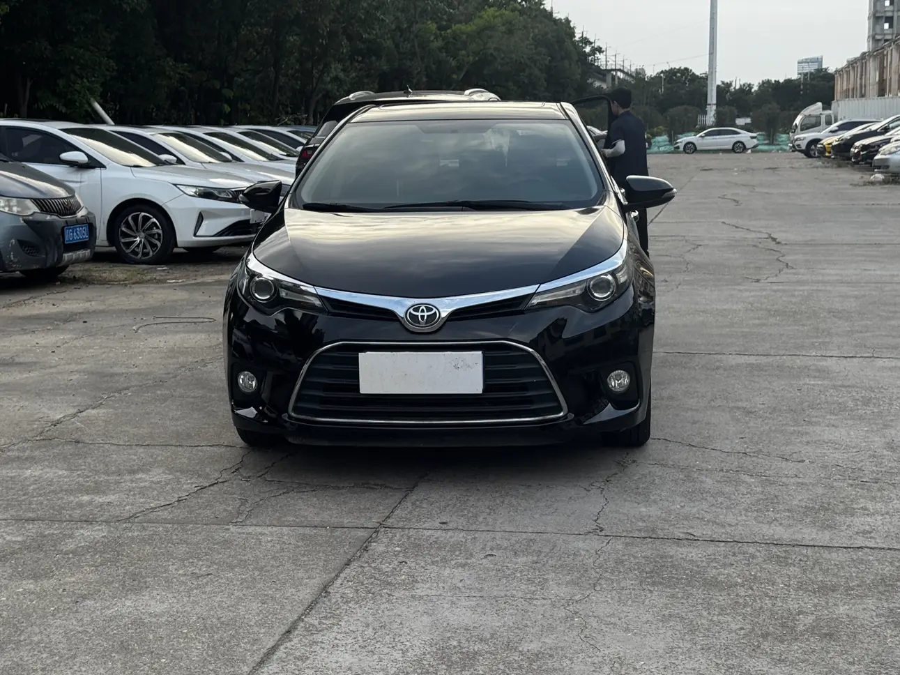 Toyota Levin