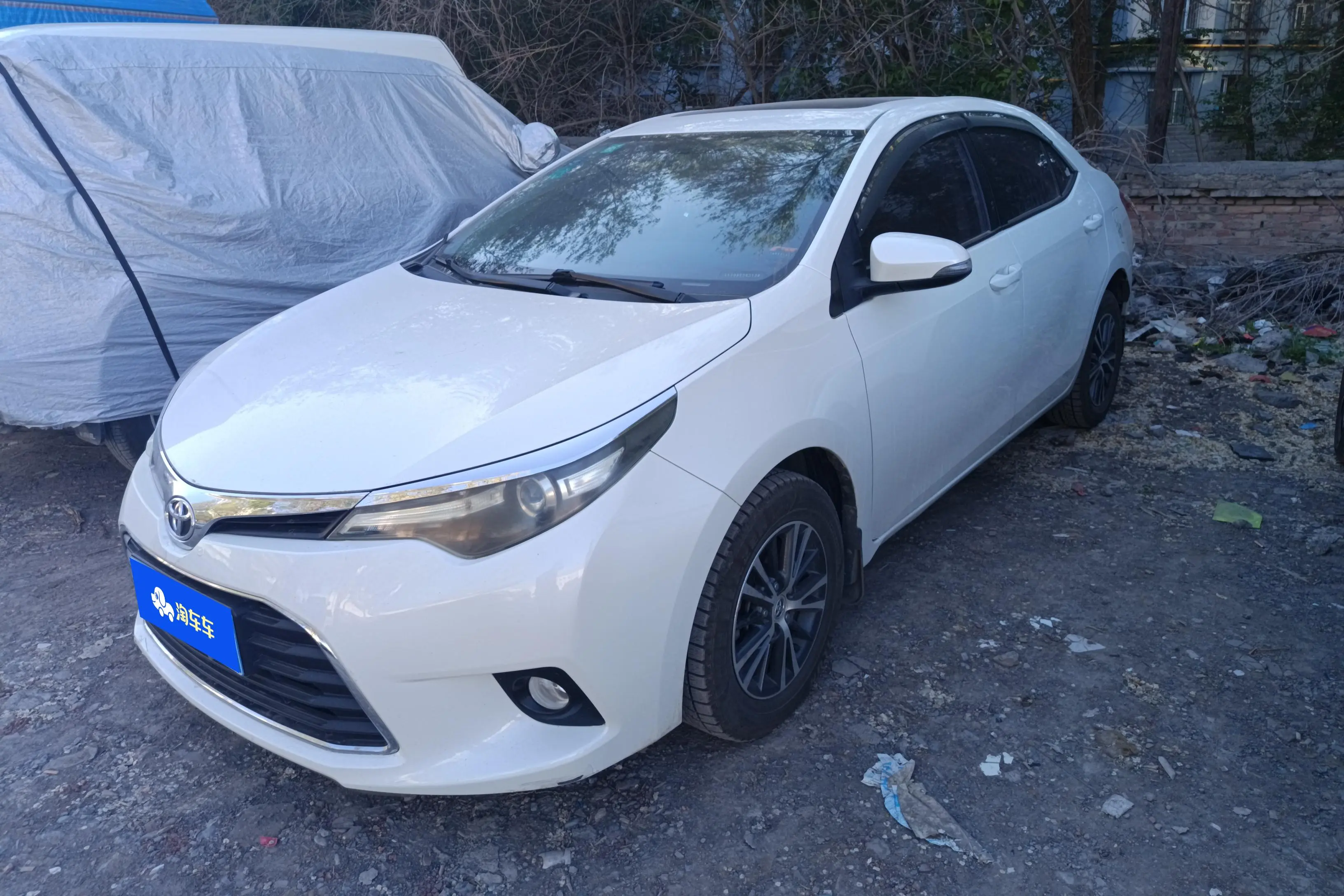 Toyota Levin