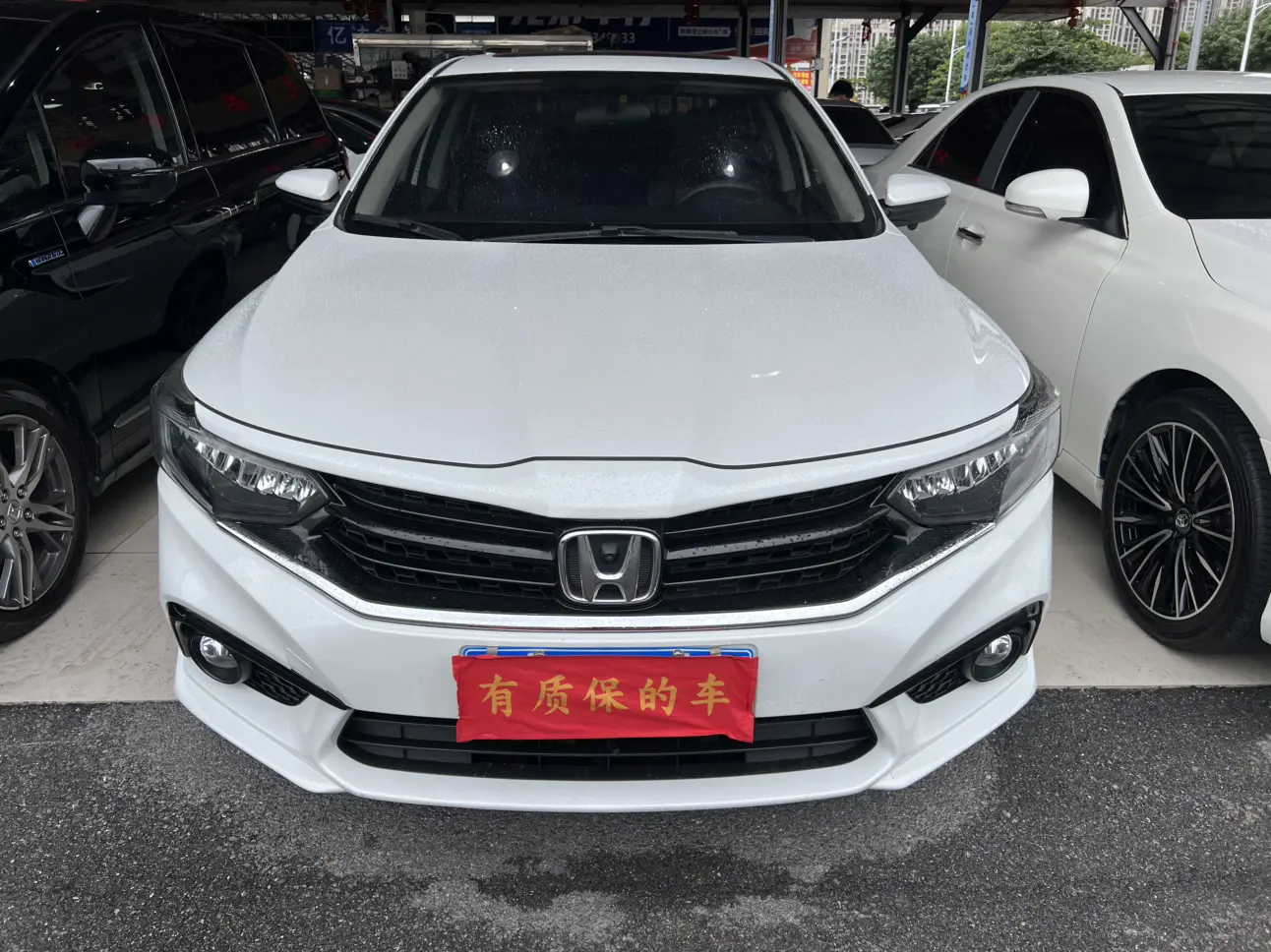 Honda Enjoy domain