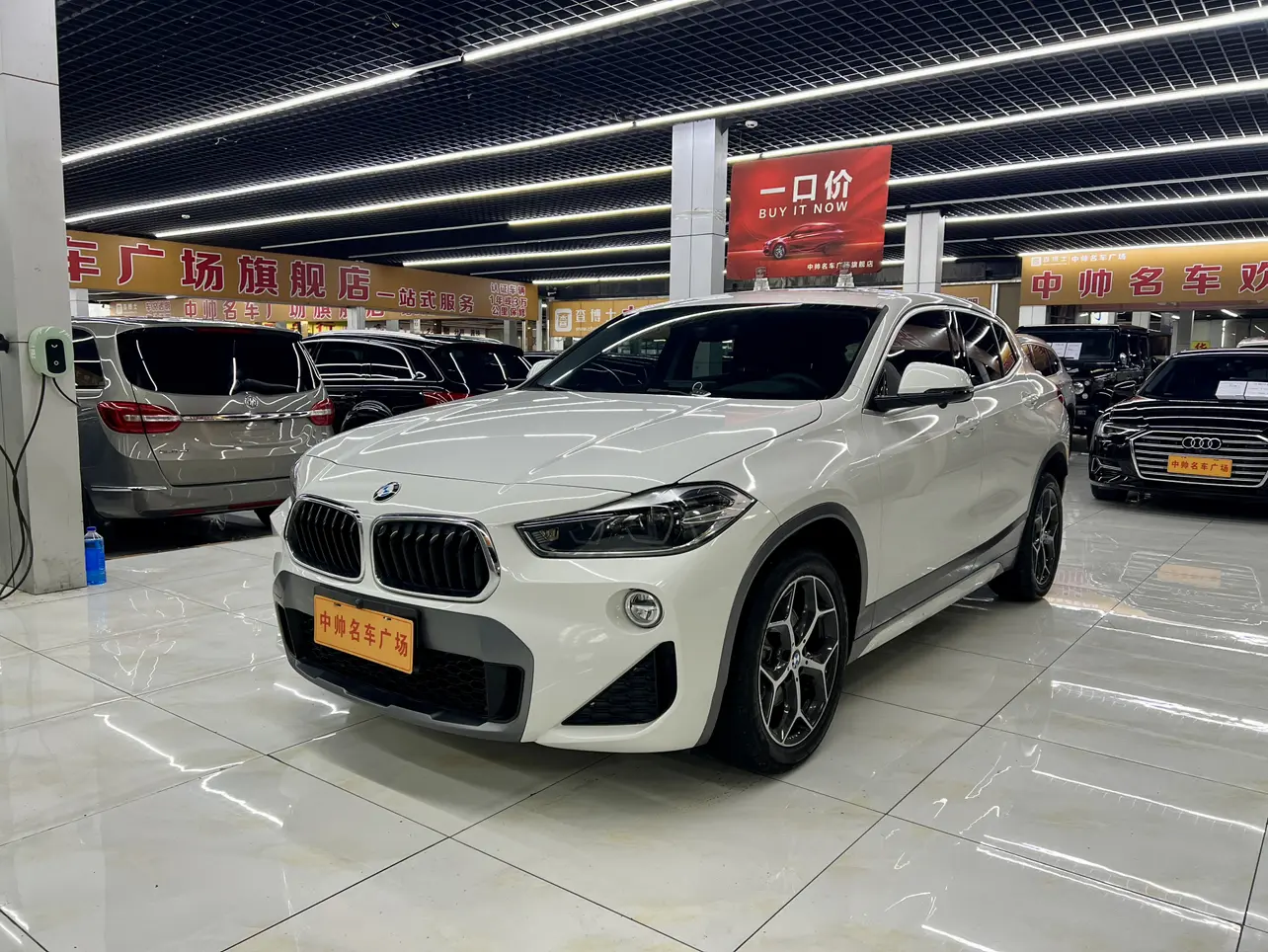 BMW X2