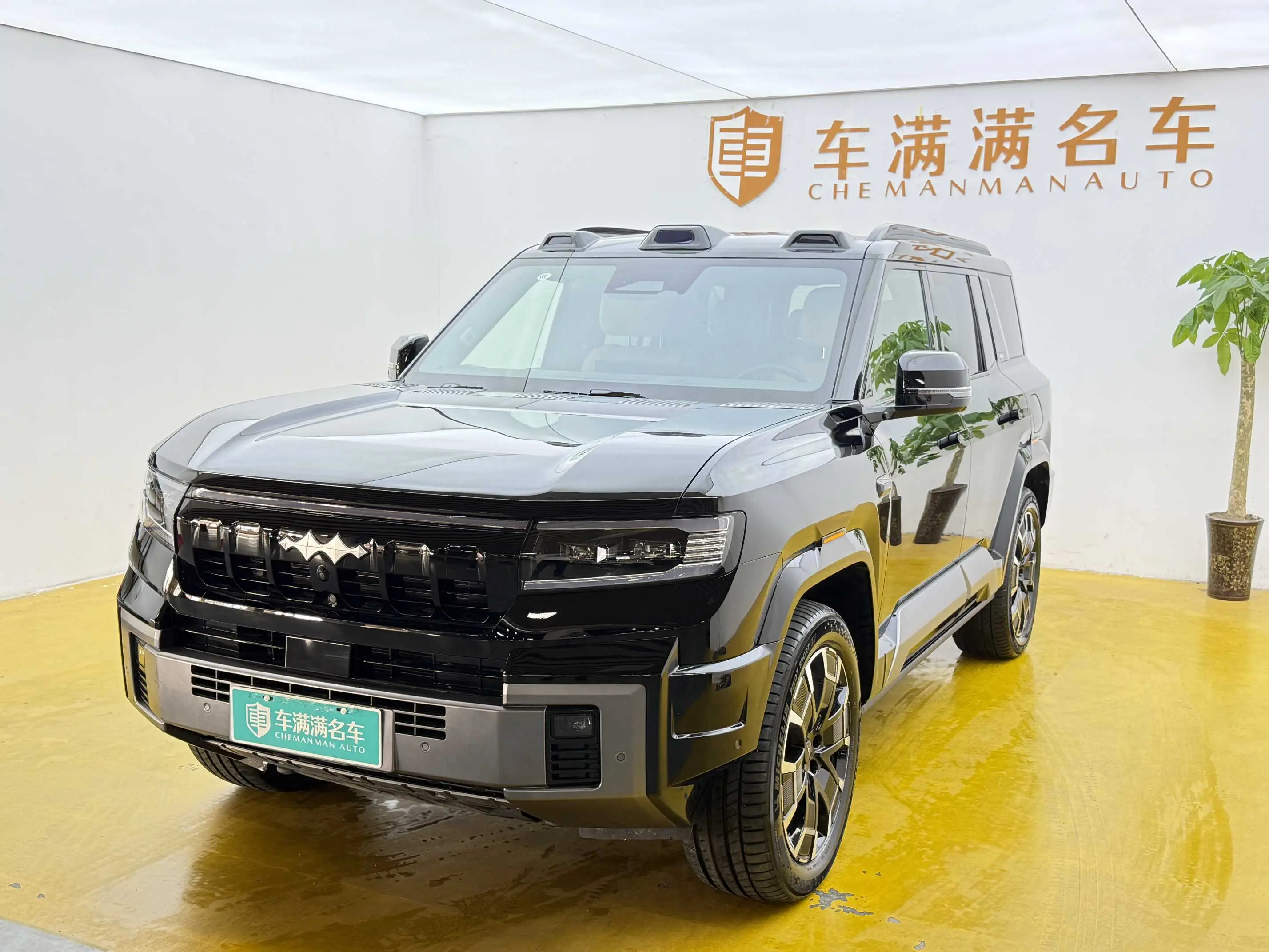 BYD Leopard Leopard 8