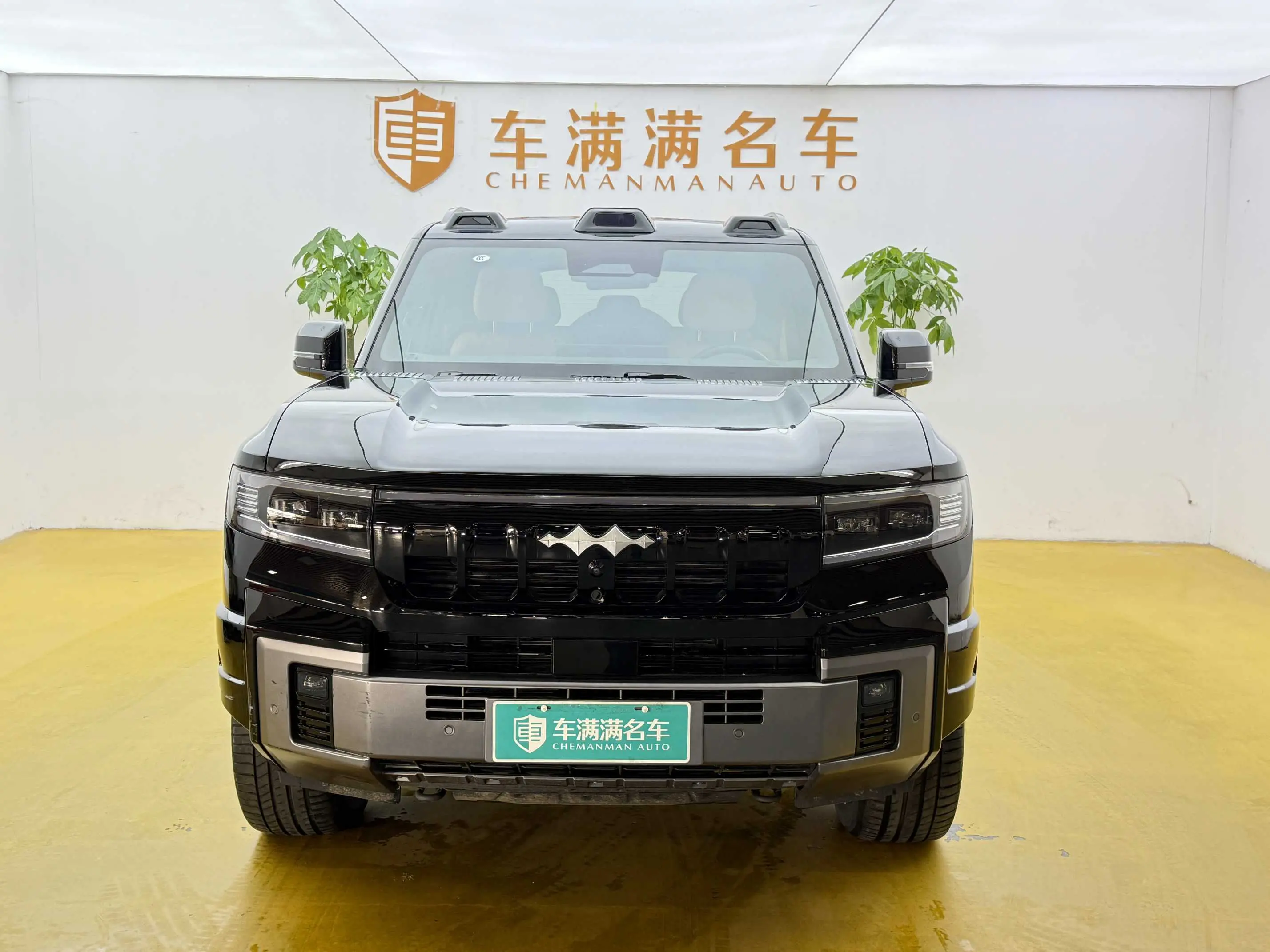 BYD Leopard Leopard 8