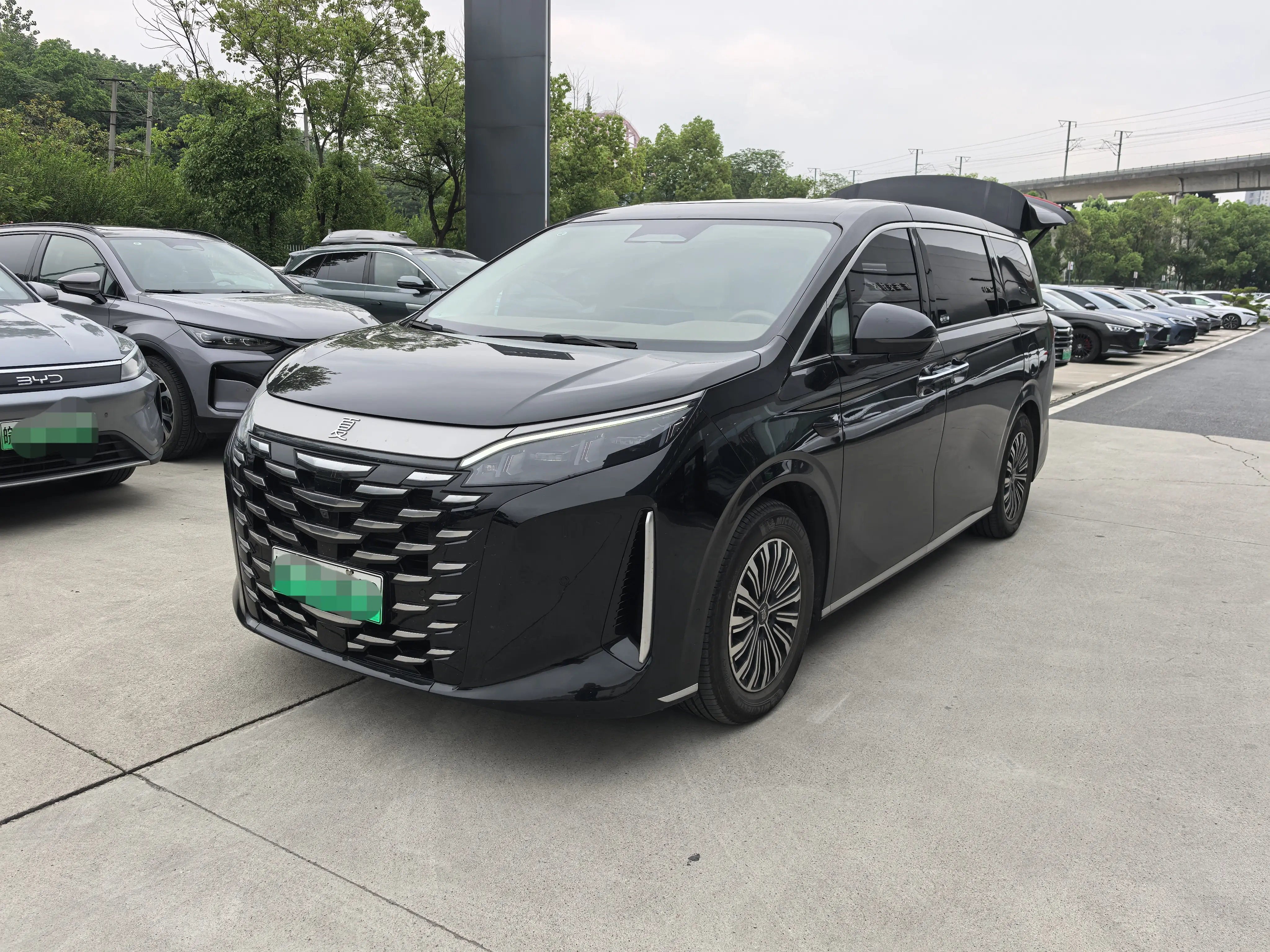 BYD Summer