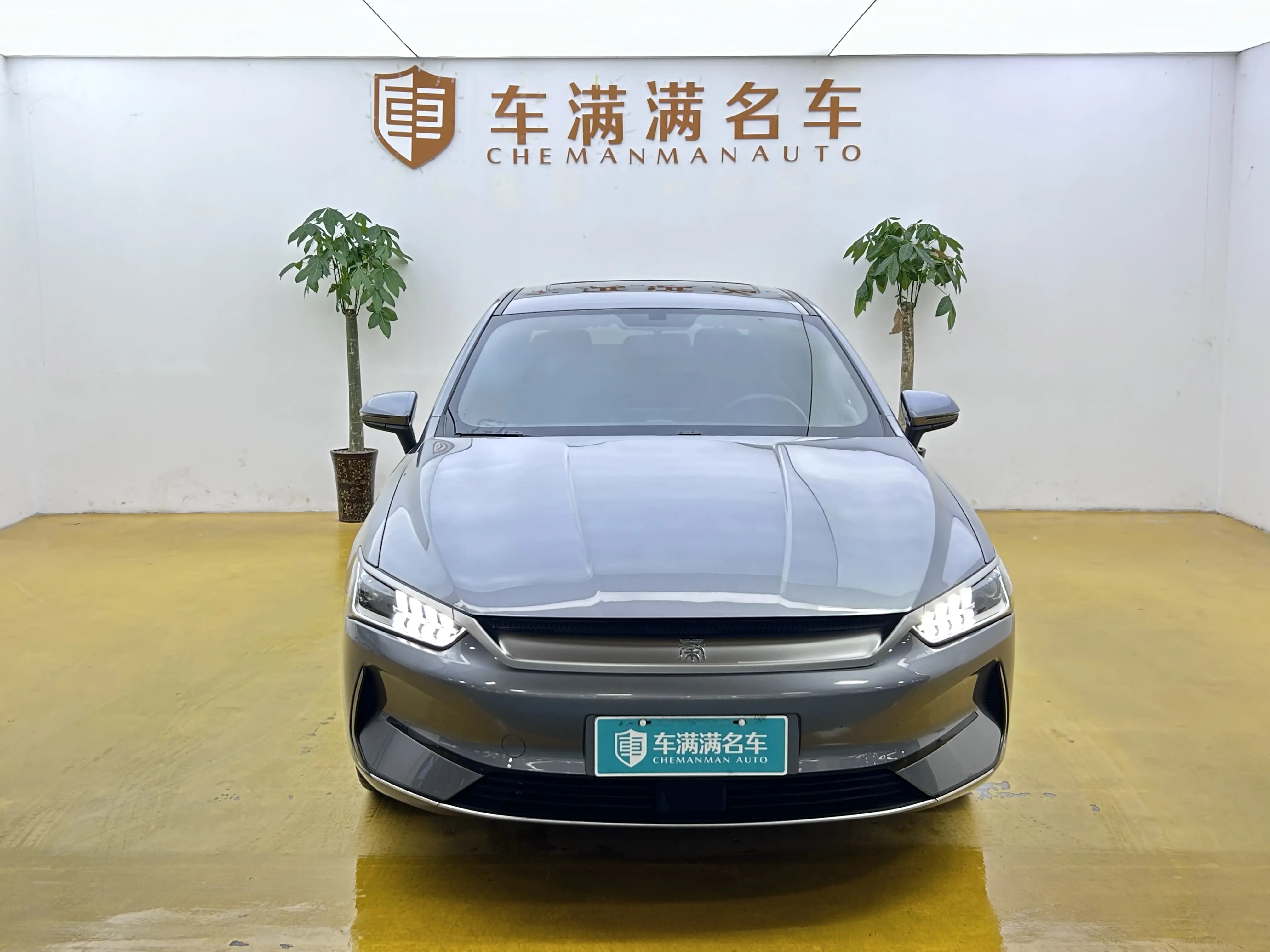 BYD Qin PLUS EV