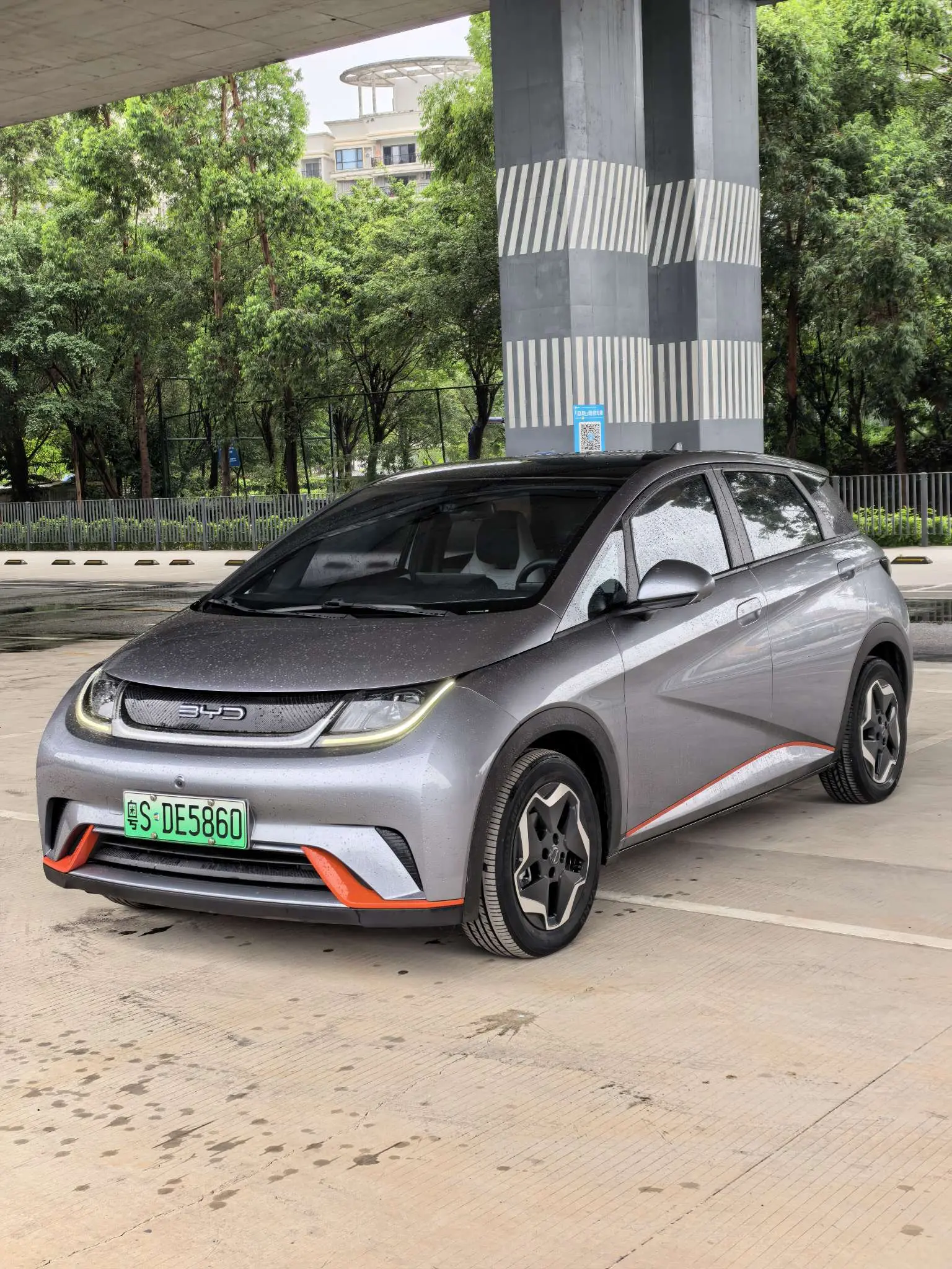 BYD Dolphin
