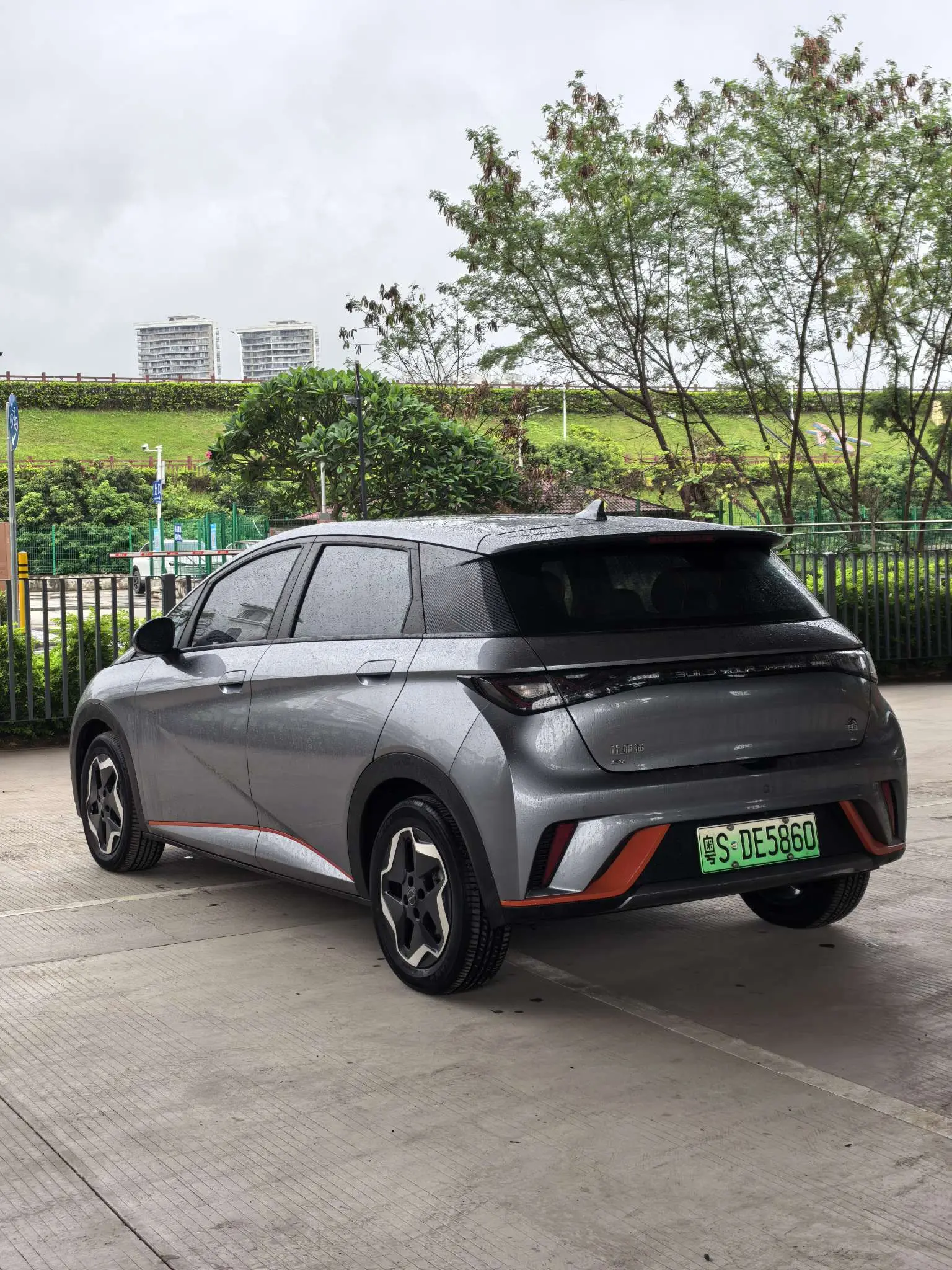 BYD Dolphin