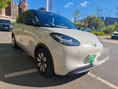 Wuling Bingo