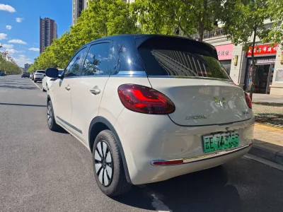Wuling Bingo