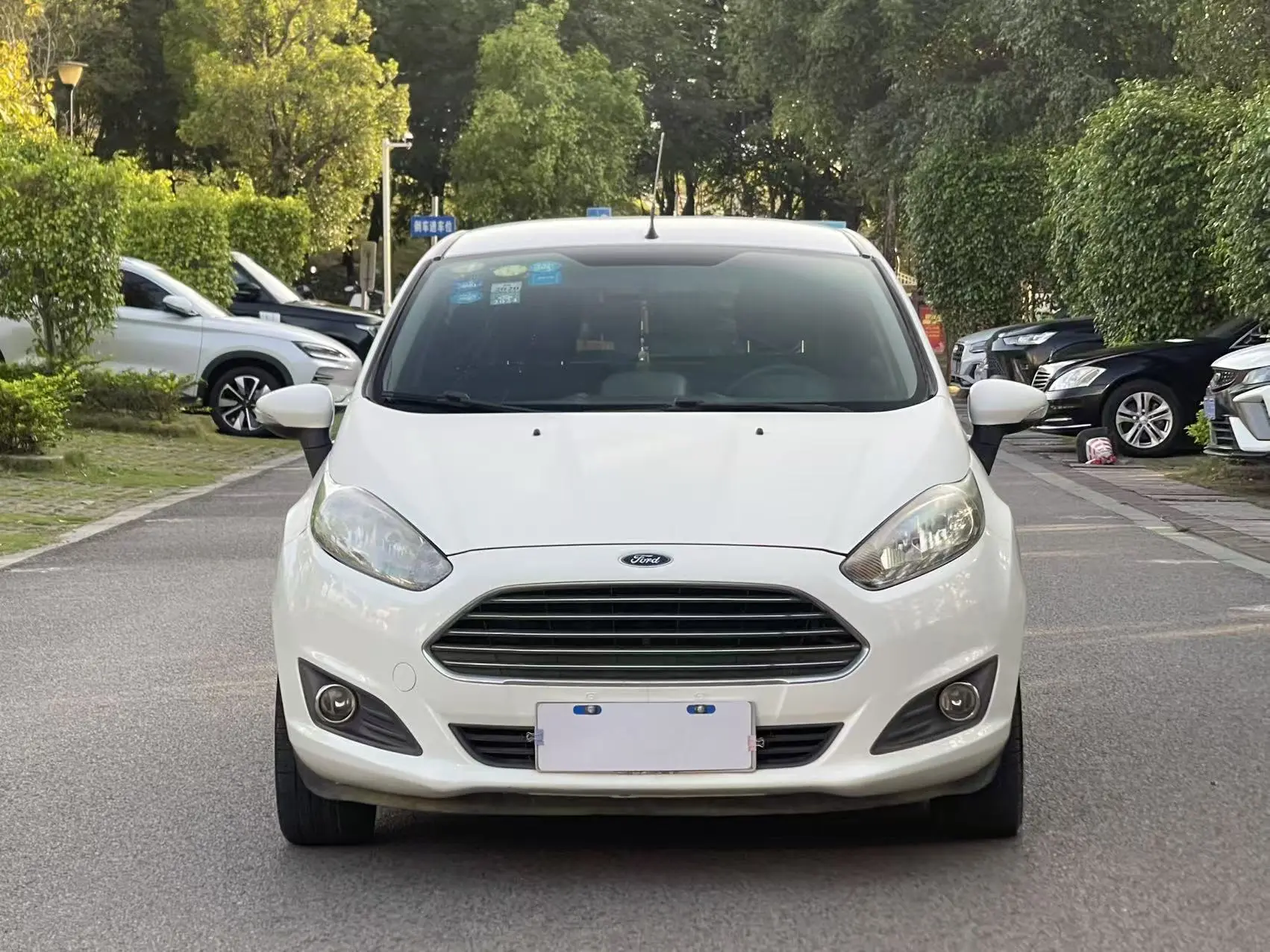 Ford Carnival