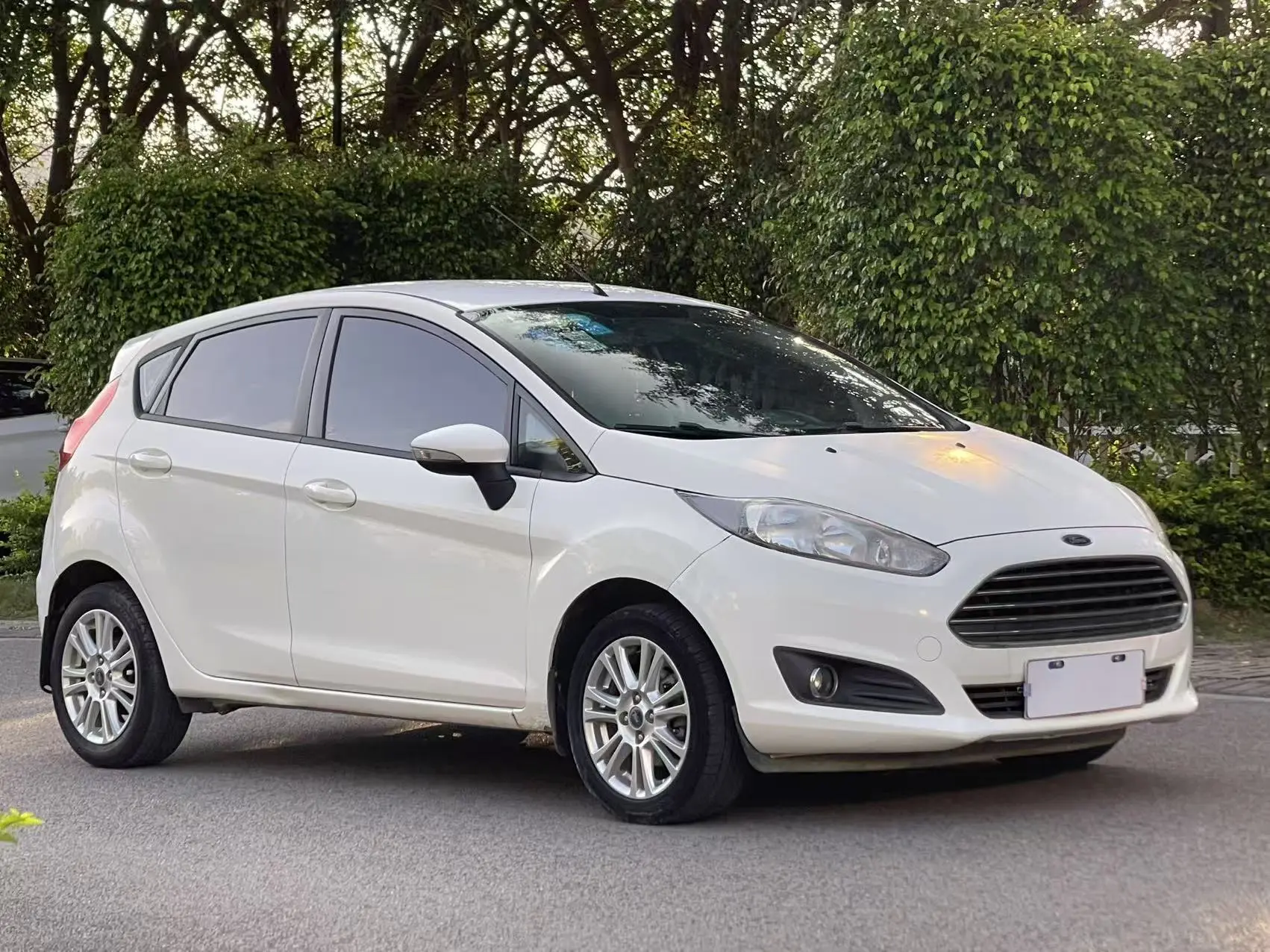 Ford Carnival