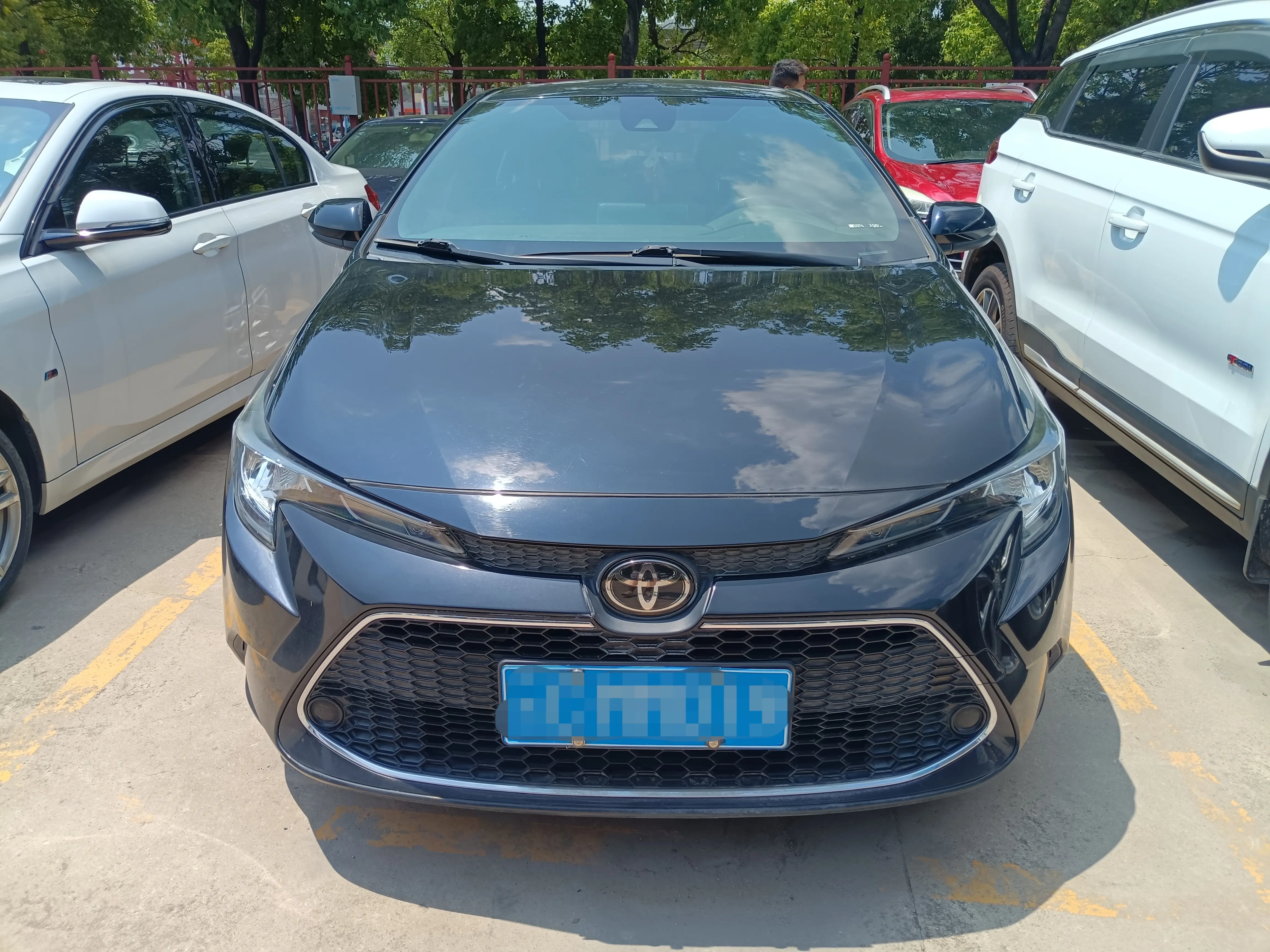 Toyota Levin