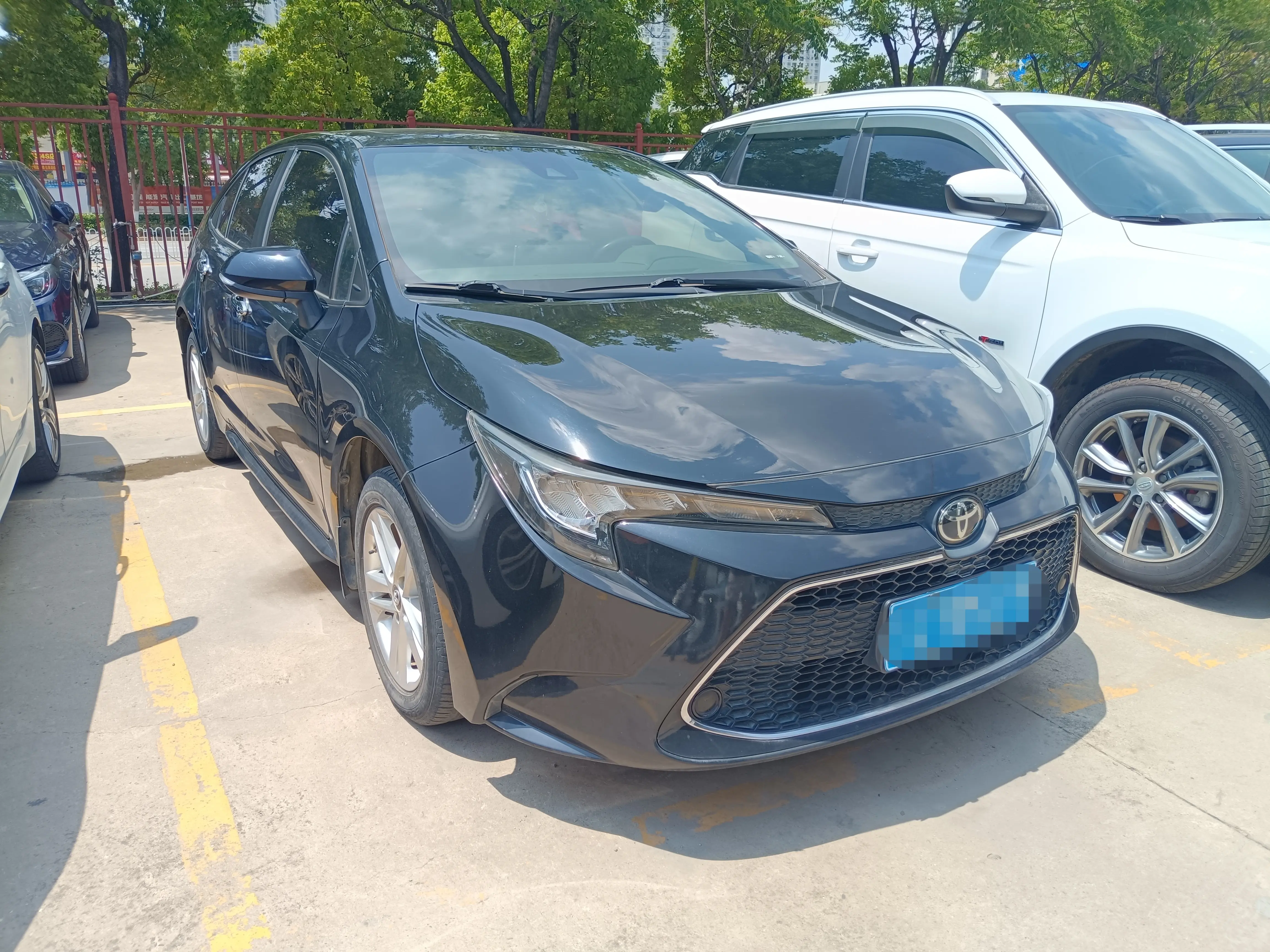 Toyota Levin
