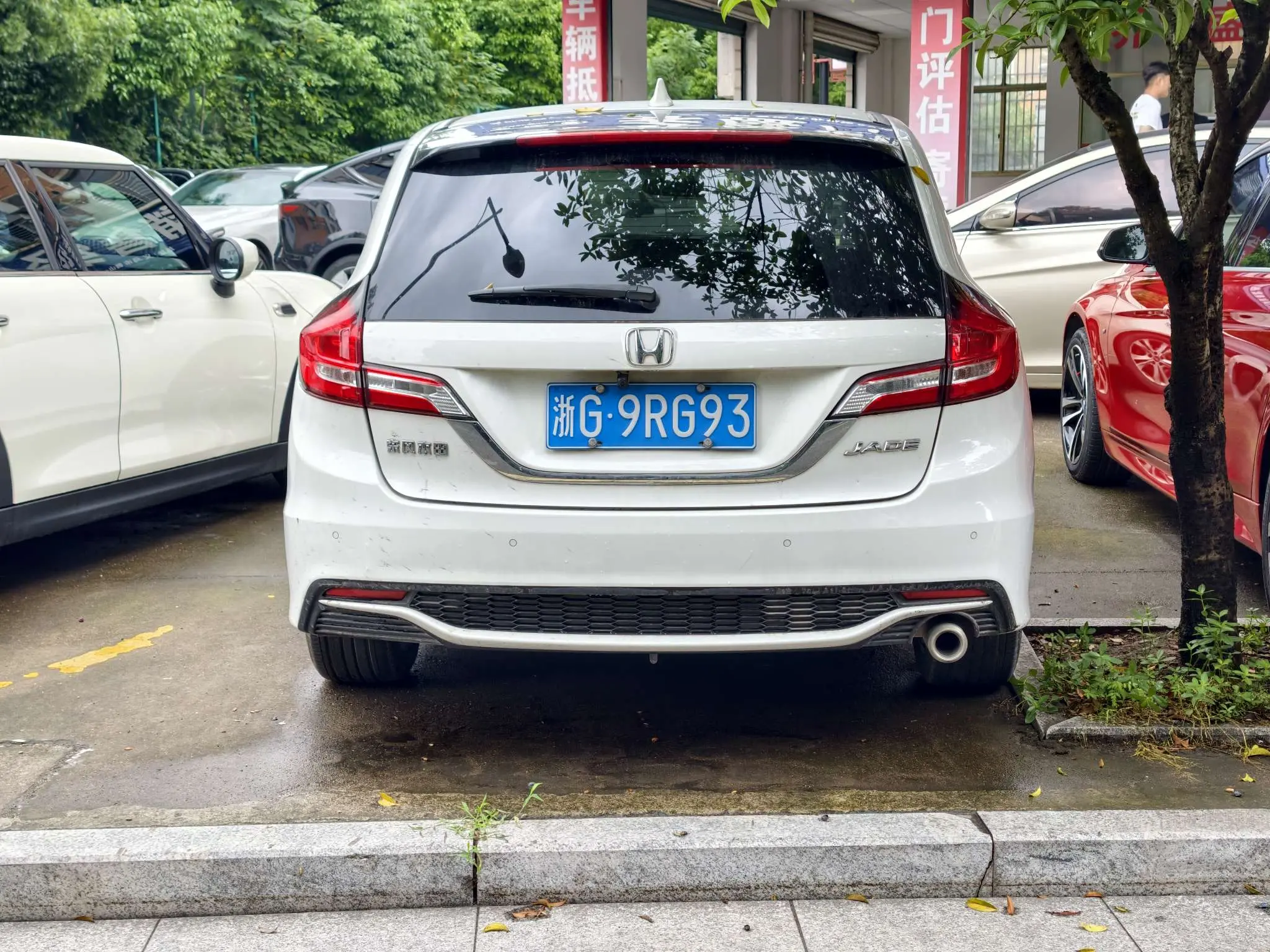 Honda Jed