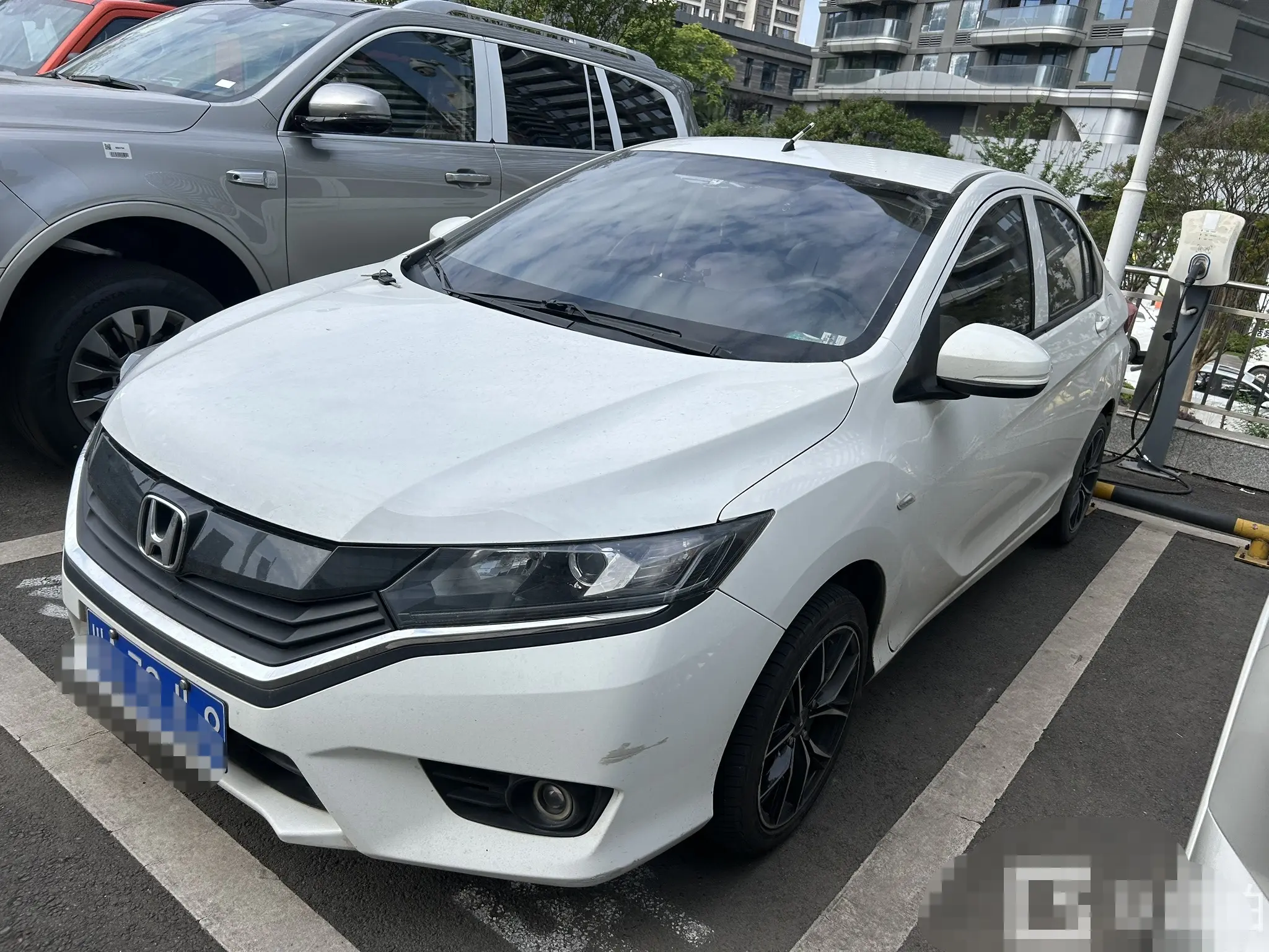 Honda Gray