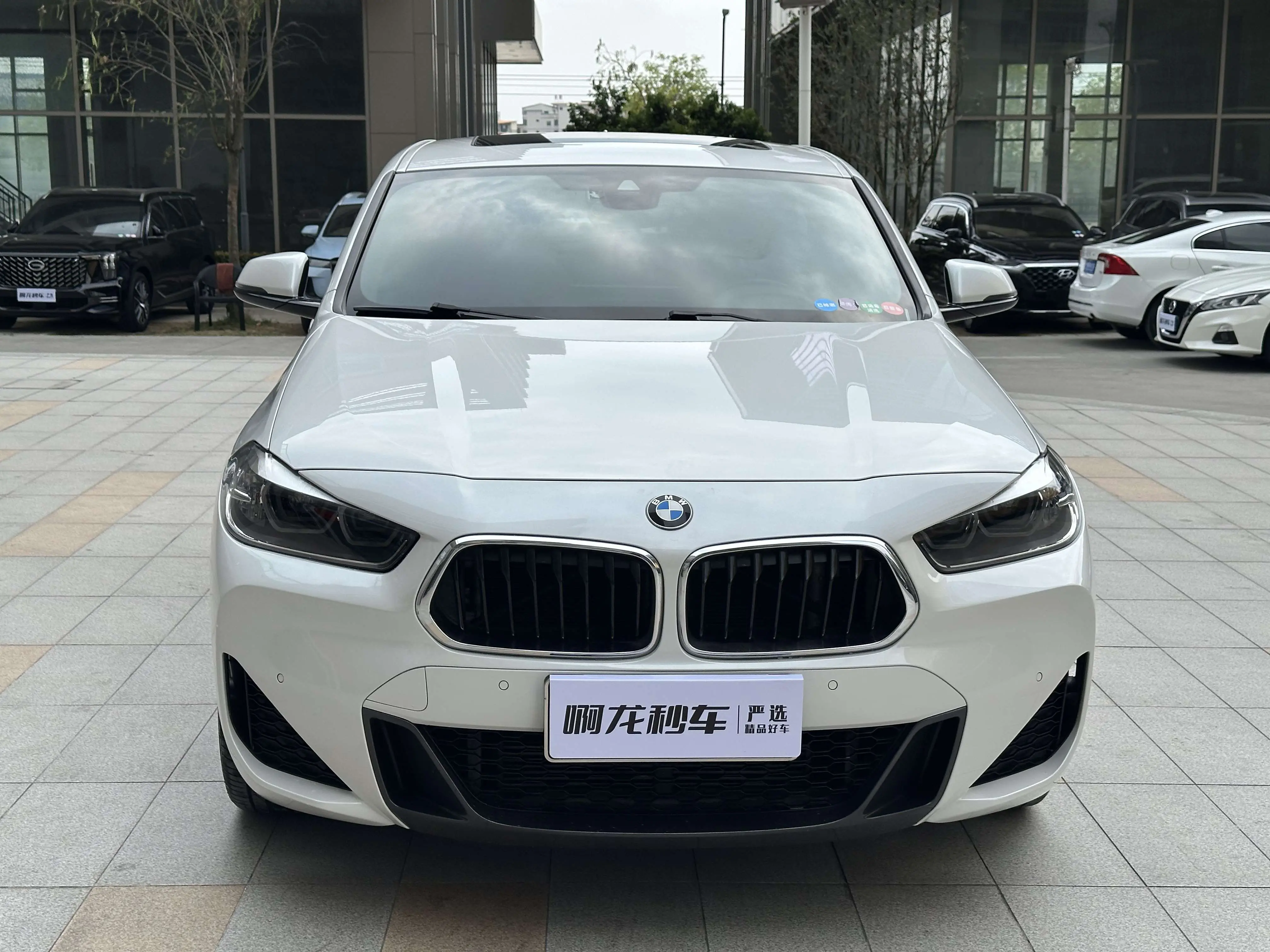 BMW X2