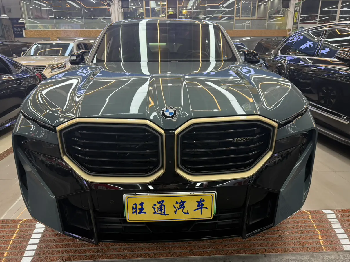 BMW XM