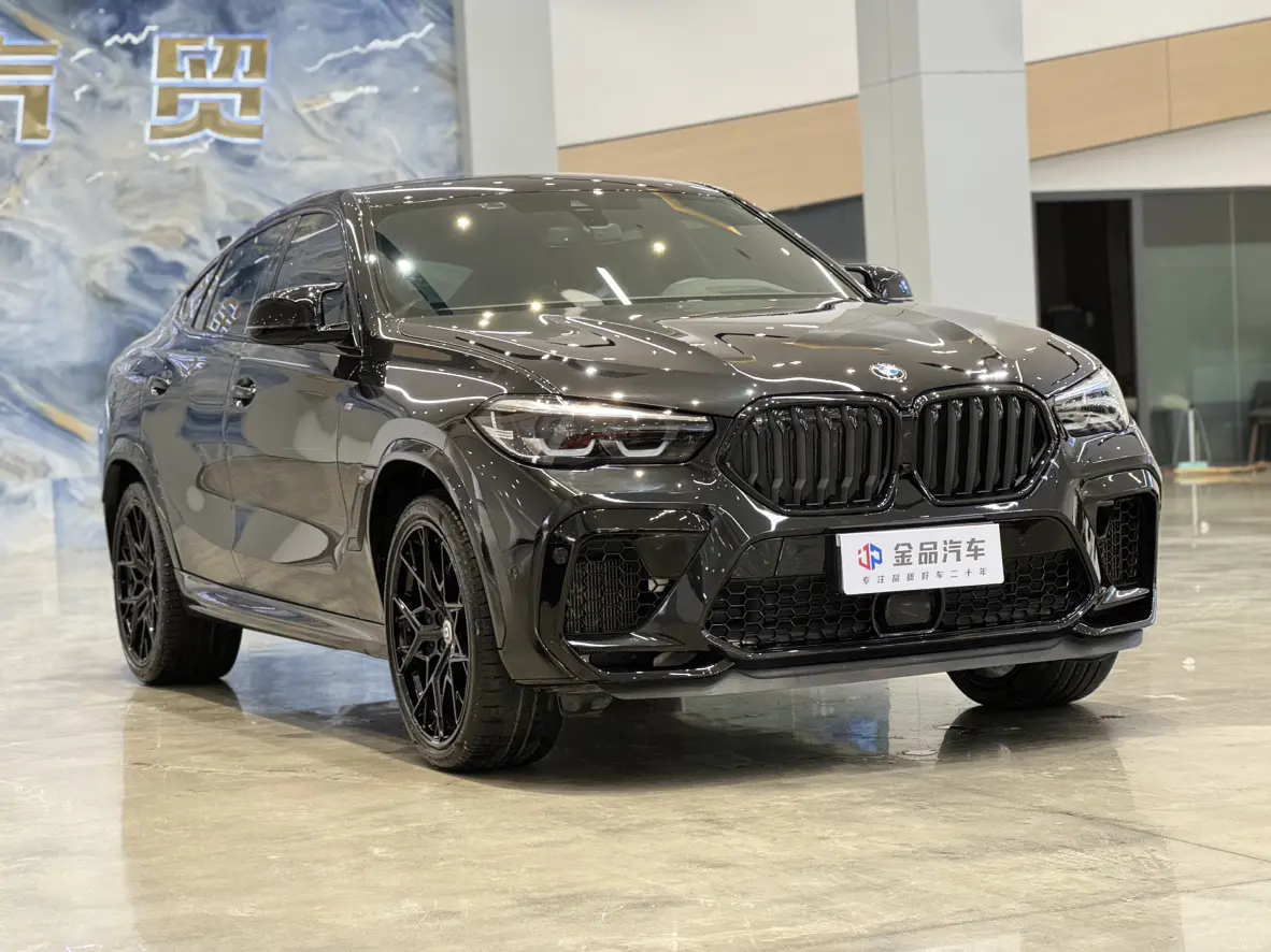 BMW X6