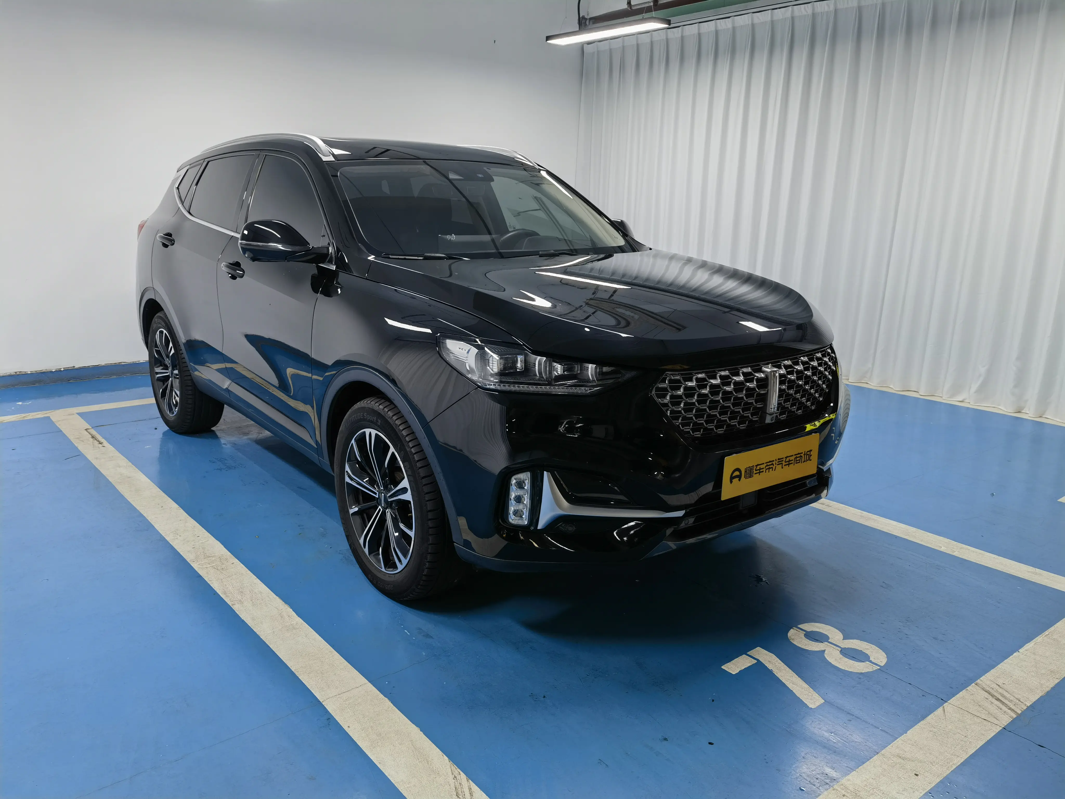 Wey Wei brand VV6