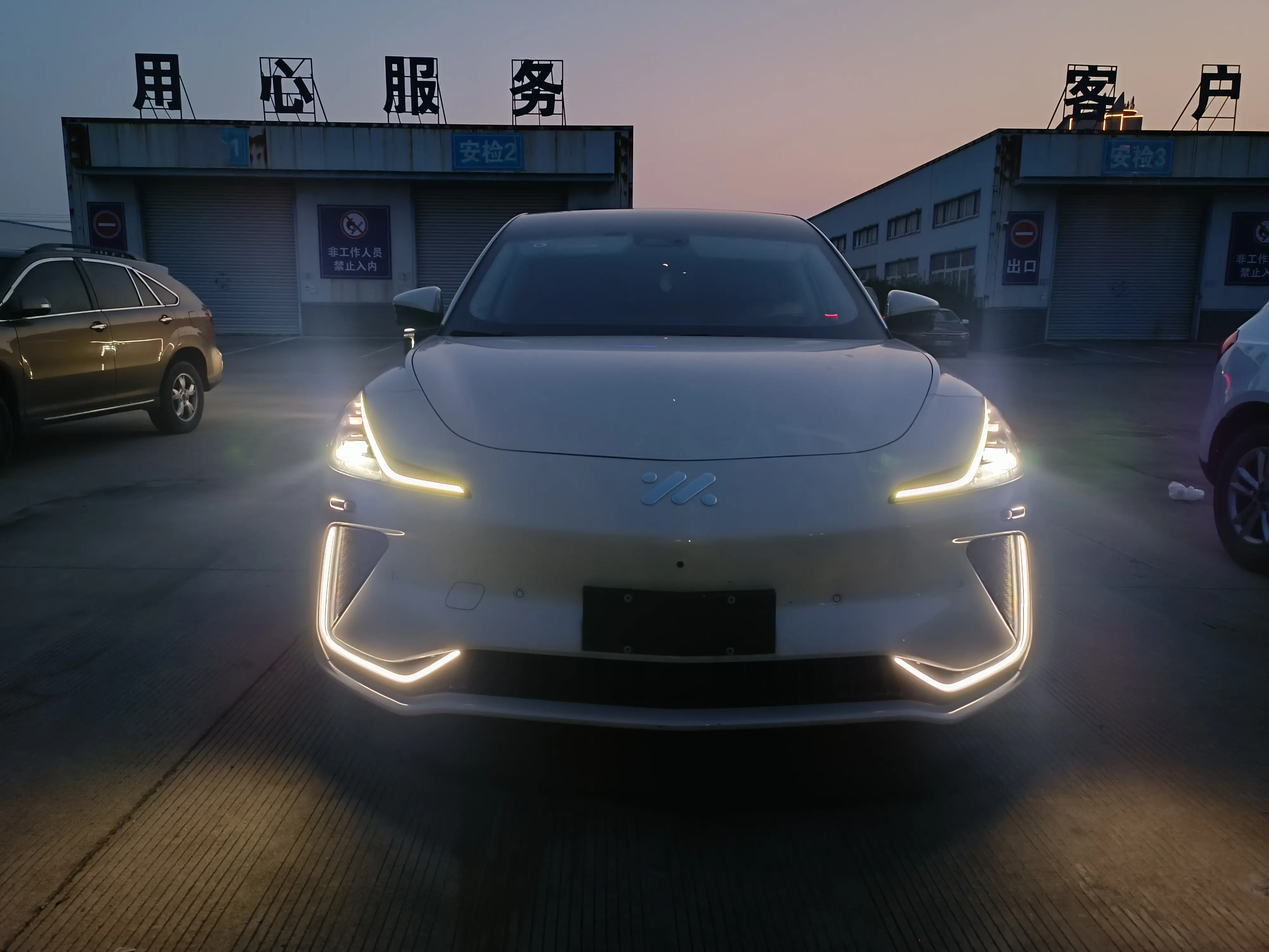 IM Motors LS7