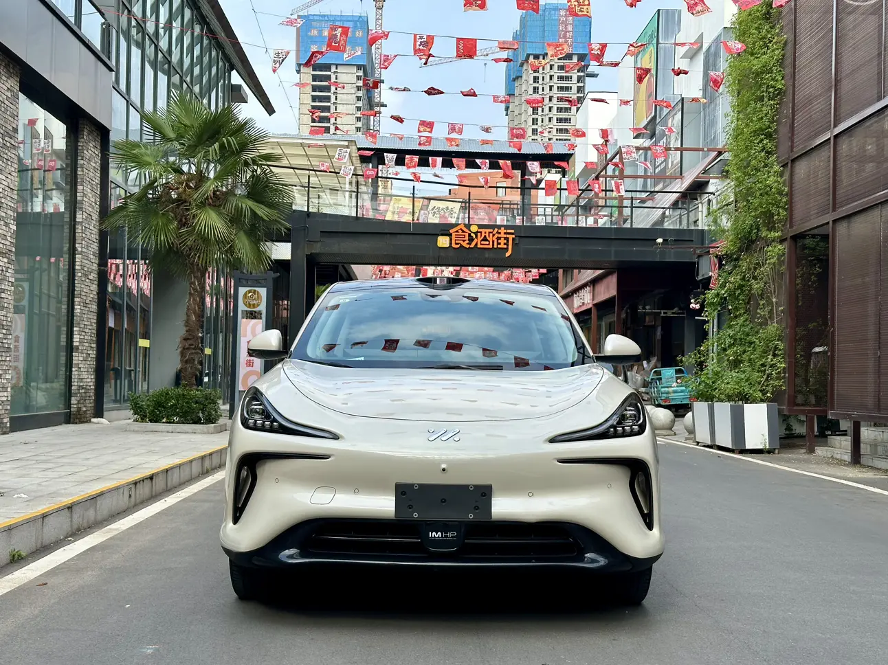 IM Motors LS6